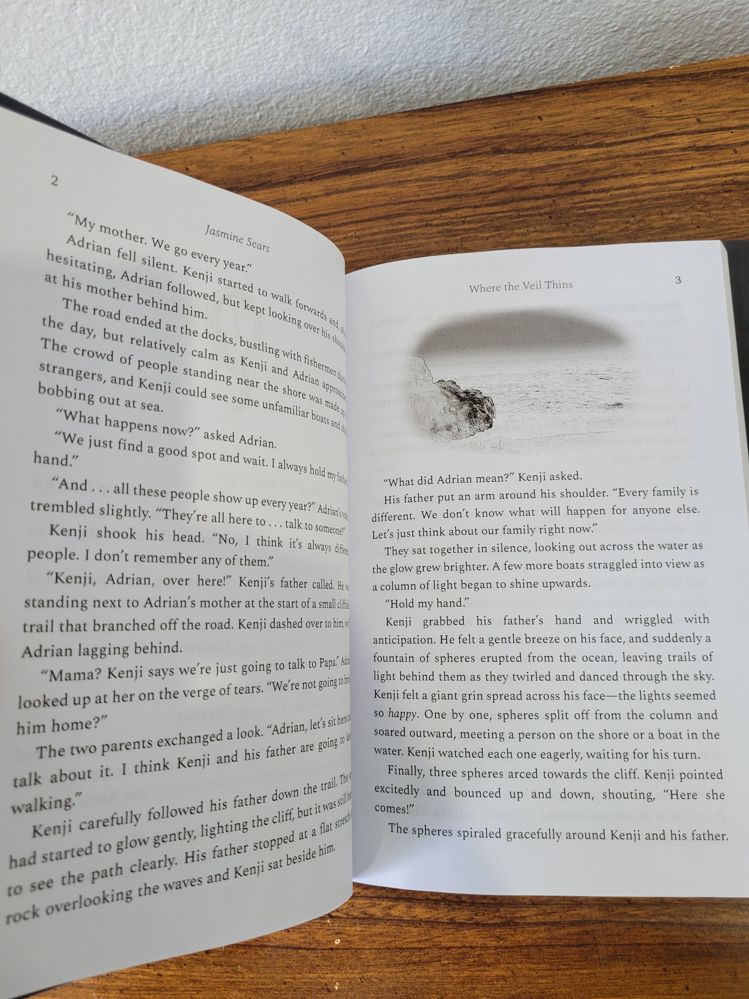 A photo of a couple pages of 'Where the Veil Thins'. One page contains a grayscale illustration of a cliff overlooking a glowing ocean.