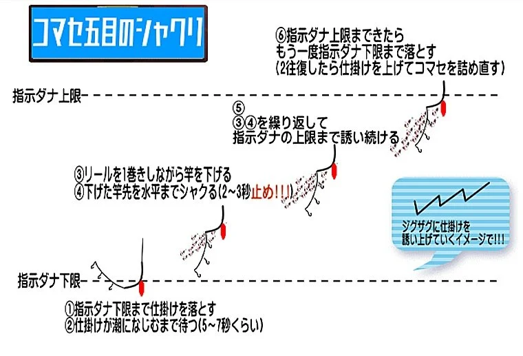 釣りの仕掛けの結び方の説明図。上下の指示ダナのラインや釣り針の位置、結び方の手順が描かれている。