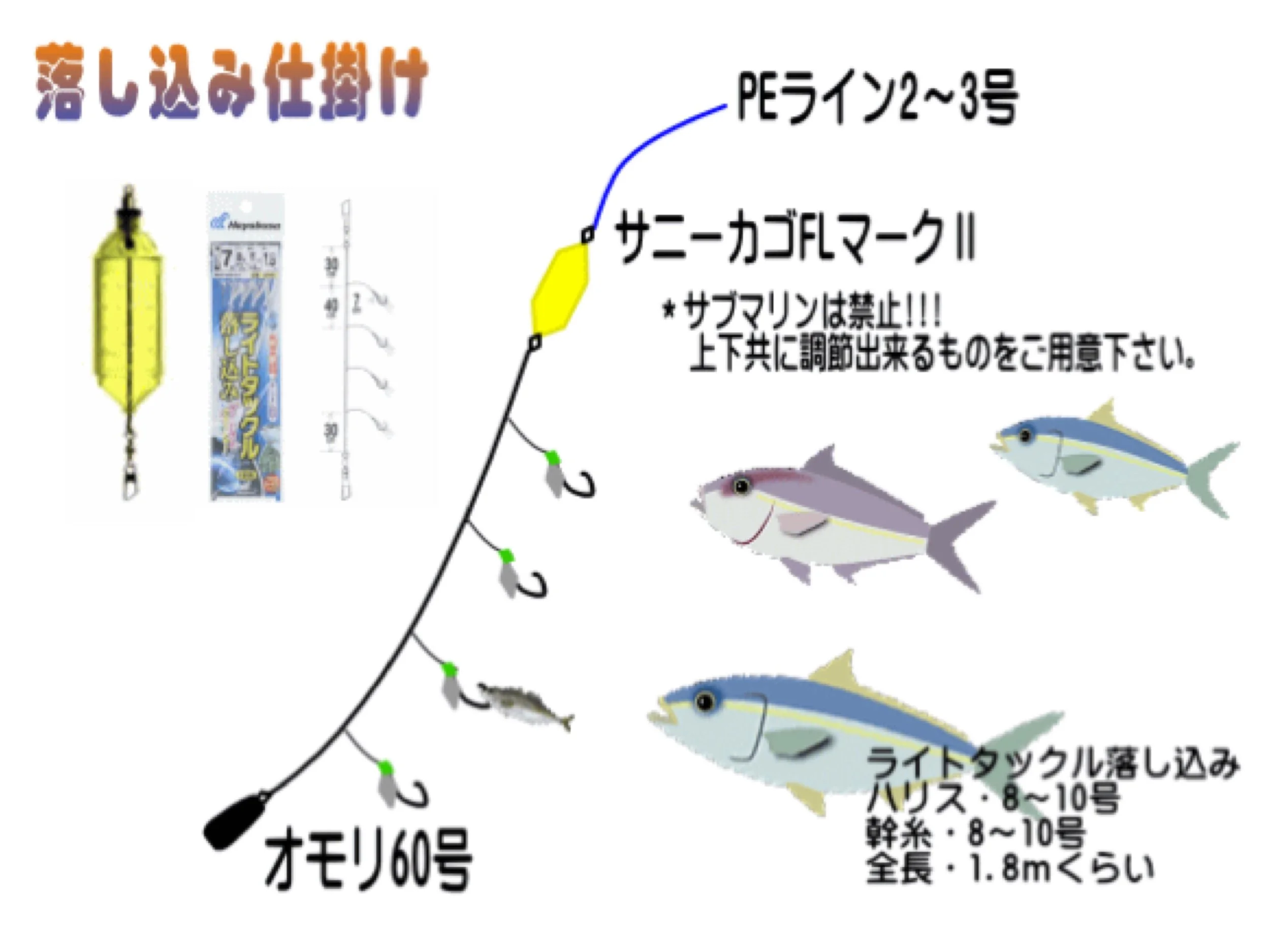 落し込み仕掛けの図解。黄色のPEライン2〜3号、サニーカゴFLマークII、オモリ60号、ライトタックルの釣り竿と釣り針、釣った魚のイラスト。