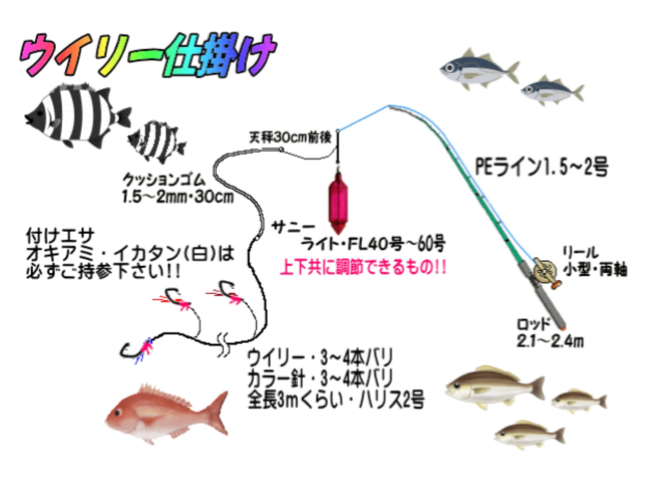 釣り仕掛けの説明図と魚の写真。魚と釣り竿のイラスト、各部品の説明とサイズ。