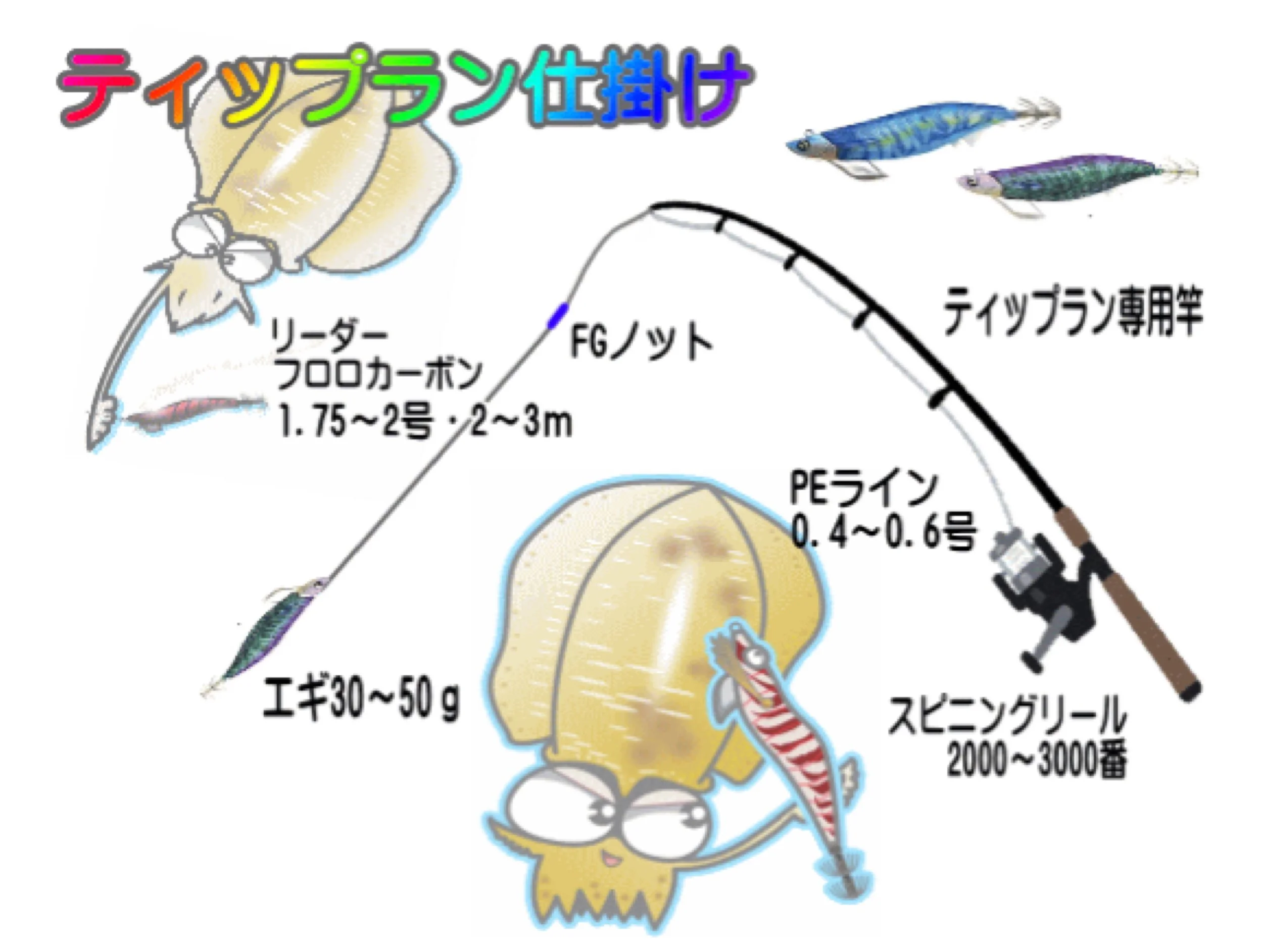 イカの仕掛けを説明するイラスト。リーダー、エギ、PEライン、スピニングリール、ティップラウン専用竿、餌付け、釣りのポイントなどの部品が描かれている。