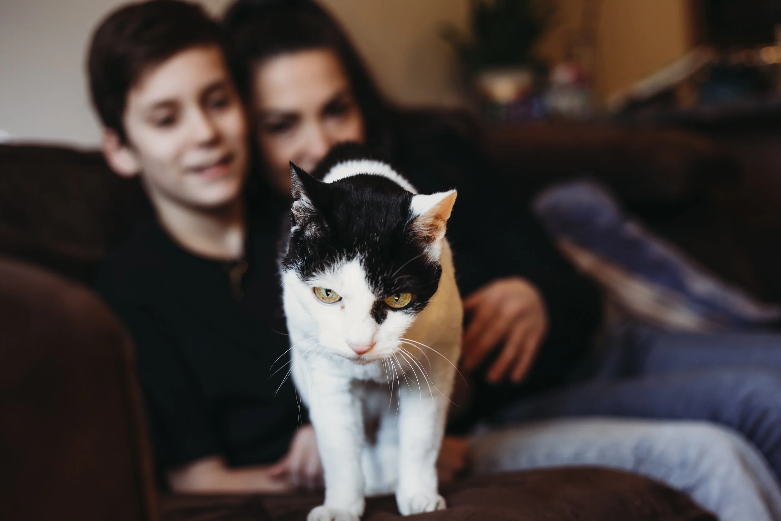 Close-up of a black and white cat in the foreground with a blurred background showing a person and a child on a sofa.