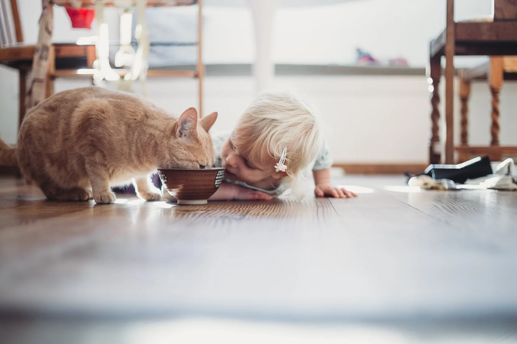 Young child and orange cat eating from the same bowl on the floor in a sunlit room.