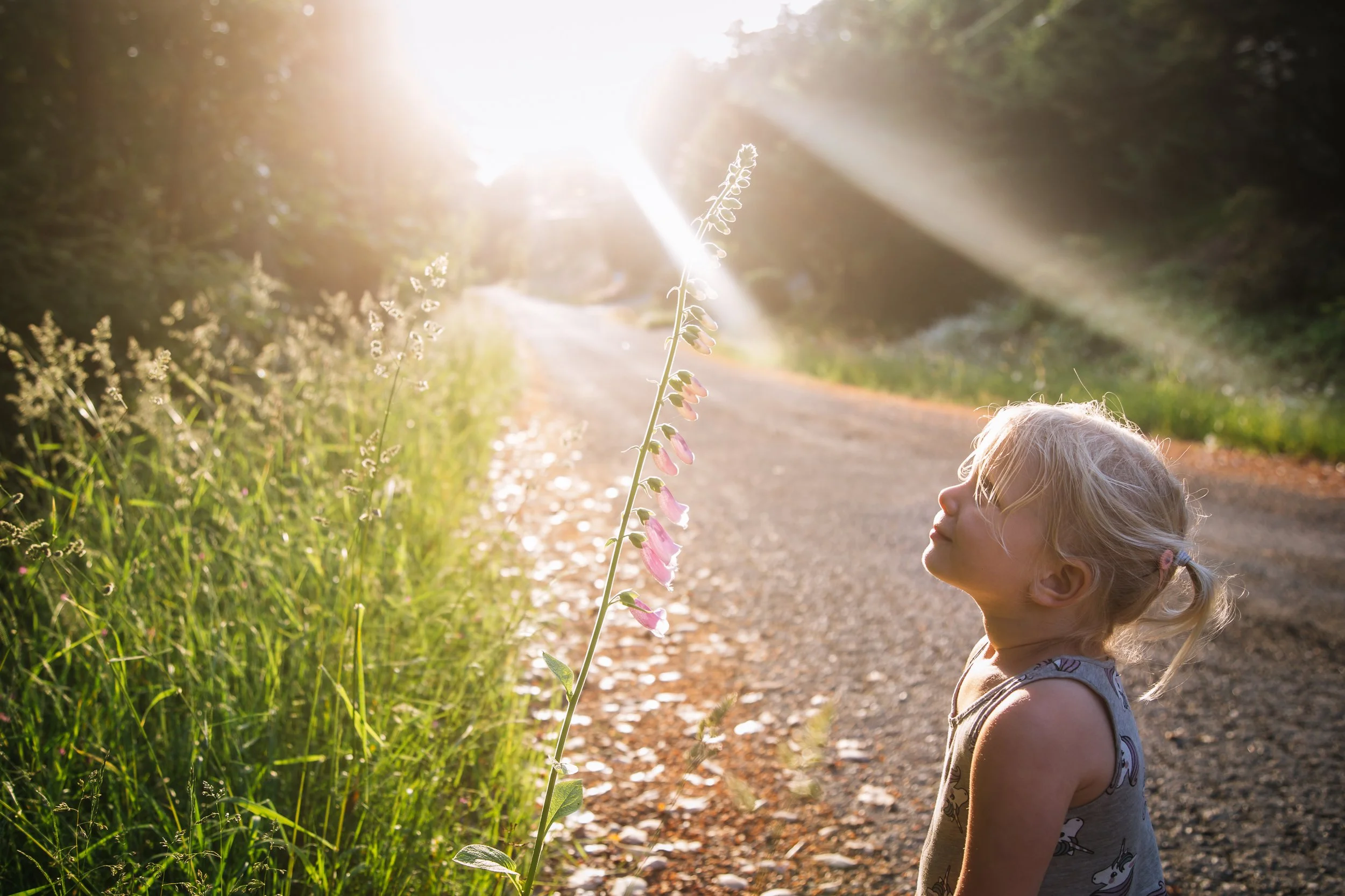 Child observing a pink flower on a rural path with sunlight streaming through trees.