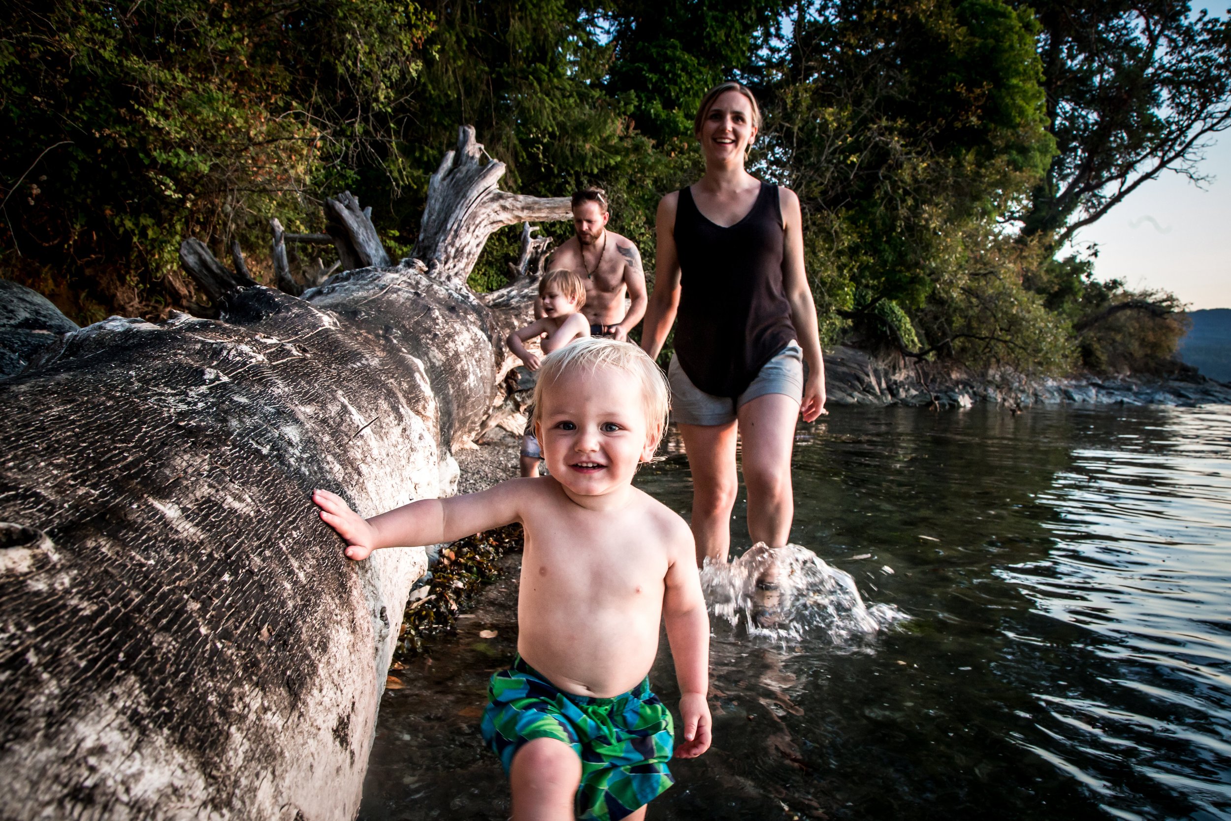 Family walking on a beach by the water, with a child leading, beside a large fallen tree and lush greenery.