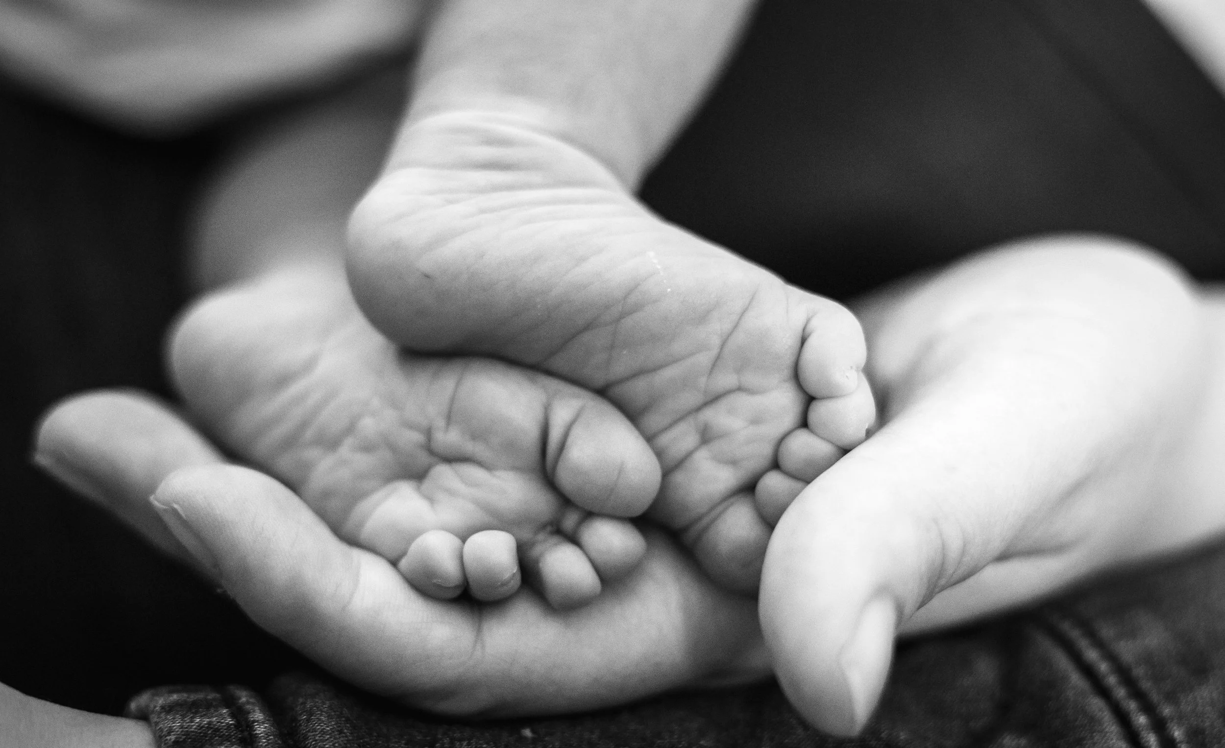 Close-up of adult hand holding baby's feet.