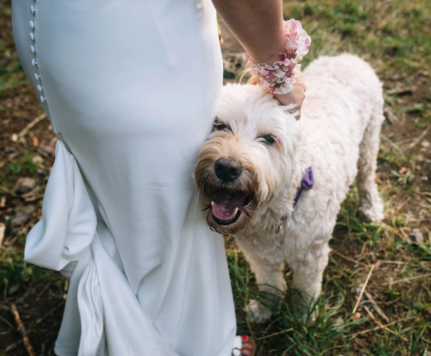 A smiling person in a white dress petting a fluffy dog outdoors.