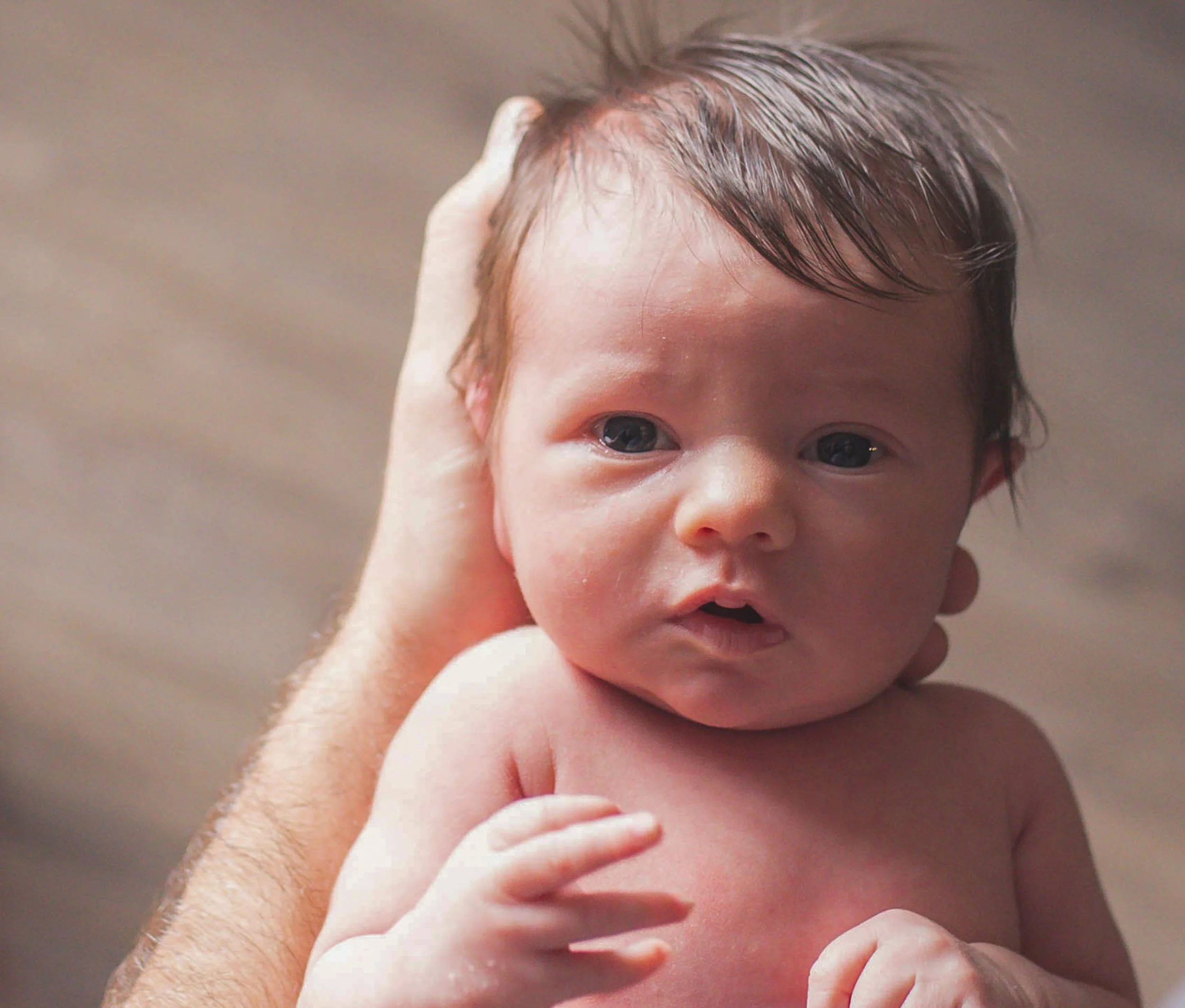 Newborn baby held in an adult's hand