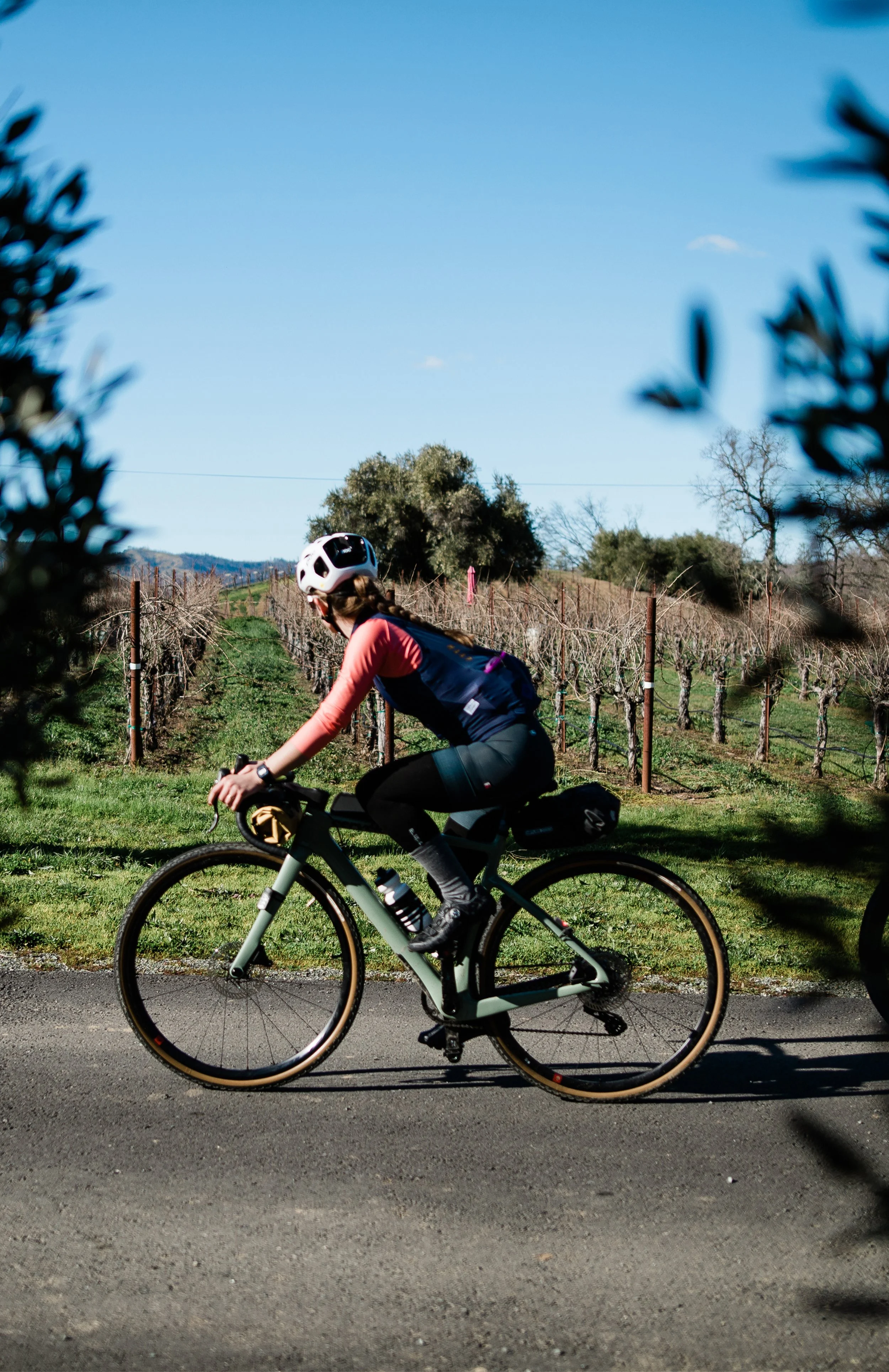 Napa CC tophedits-ver1-775 1.jpg