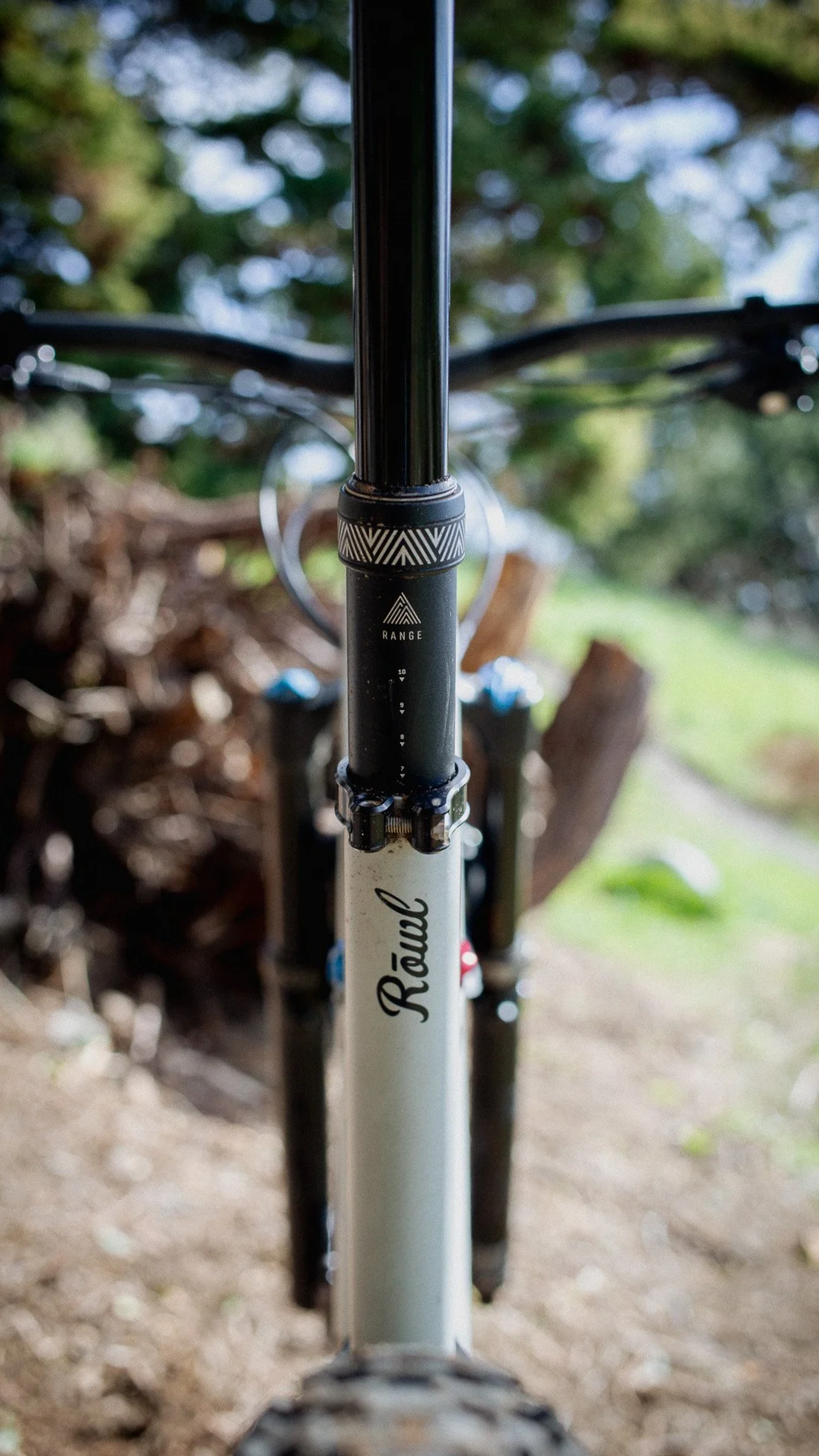 Close-up view from the front of a mountain bike showing the head tube, with the word 'Revival' written on it, and parts of the handlebars and suspension in the blurred background, outdoors with trees and grass.