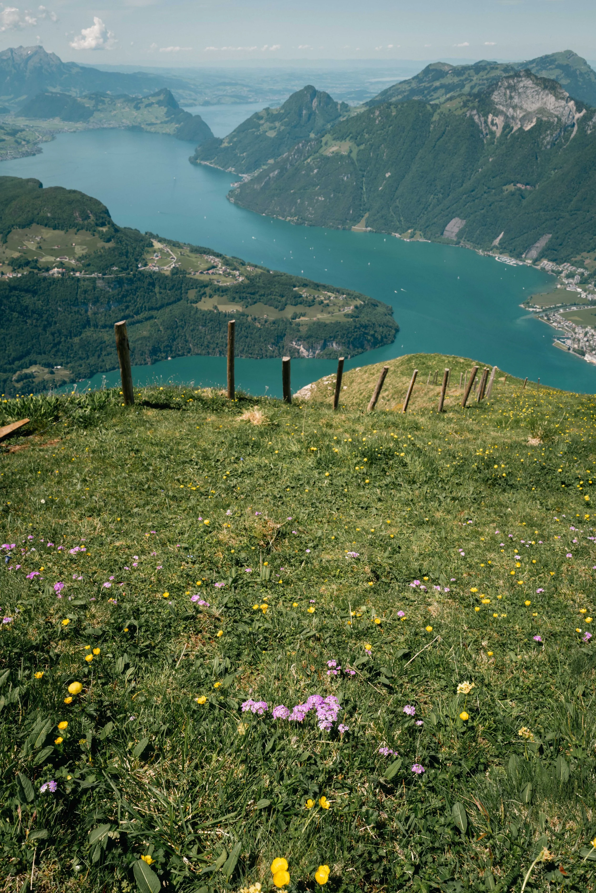 Swiss meadow, Morschach, 2025