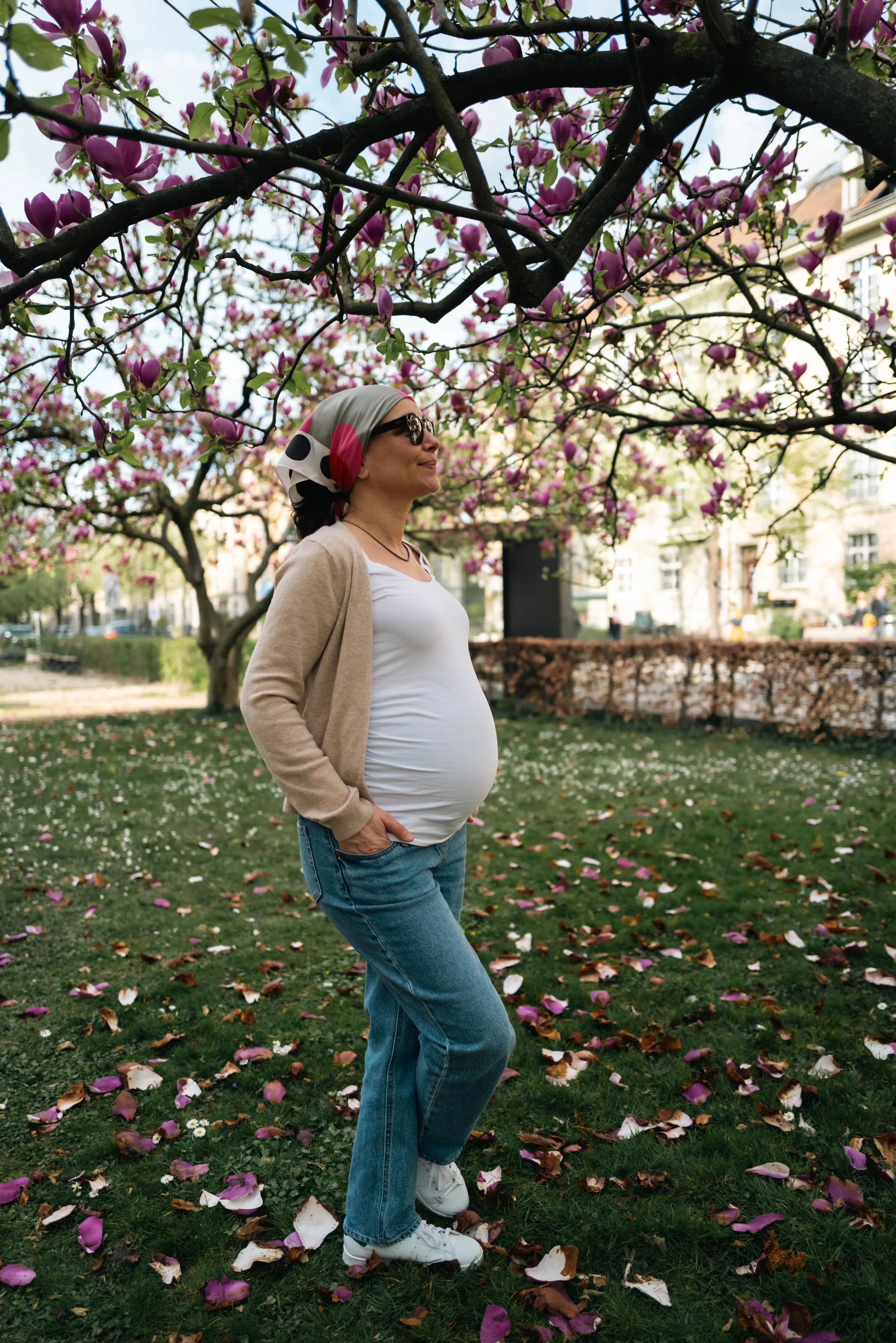 Checking out Magnolias