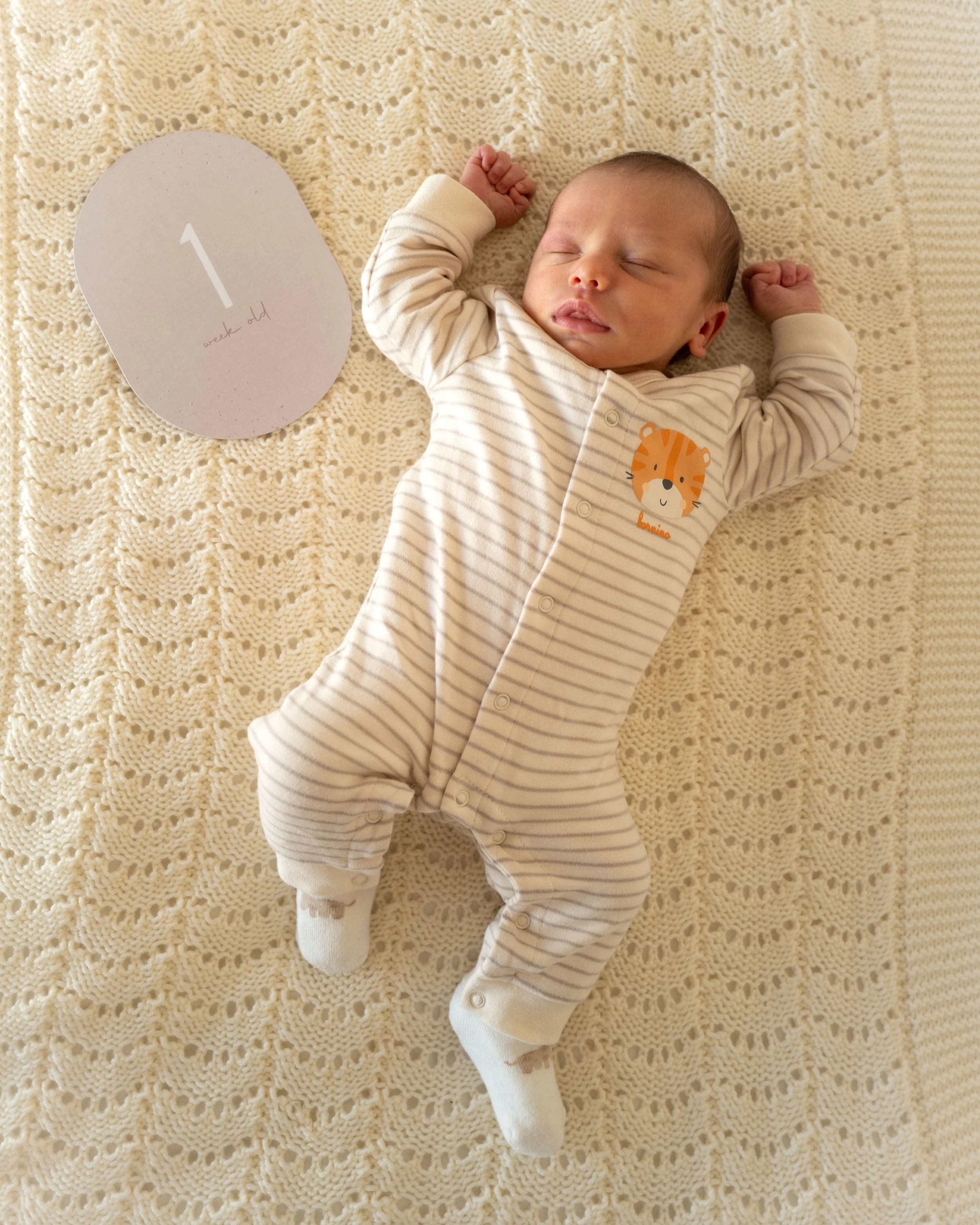 First week - 19.06.2026
