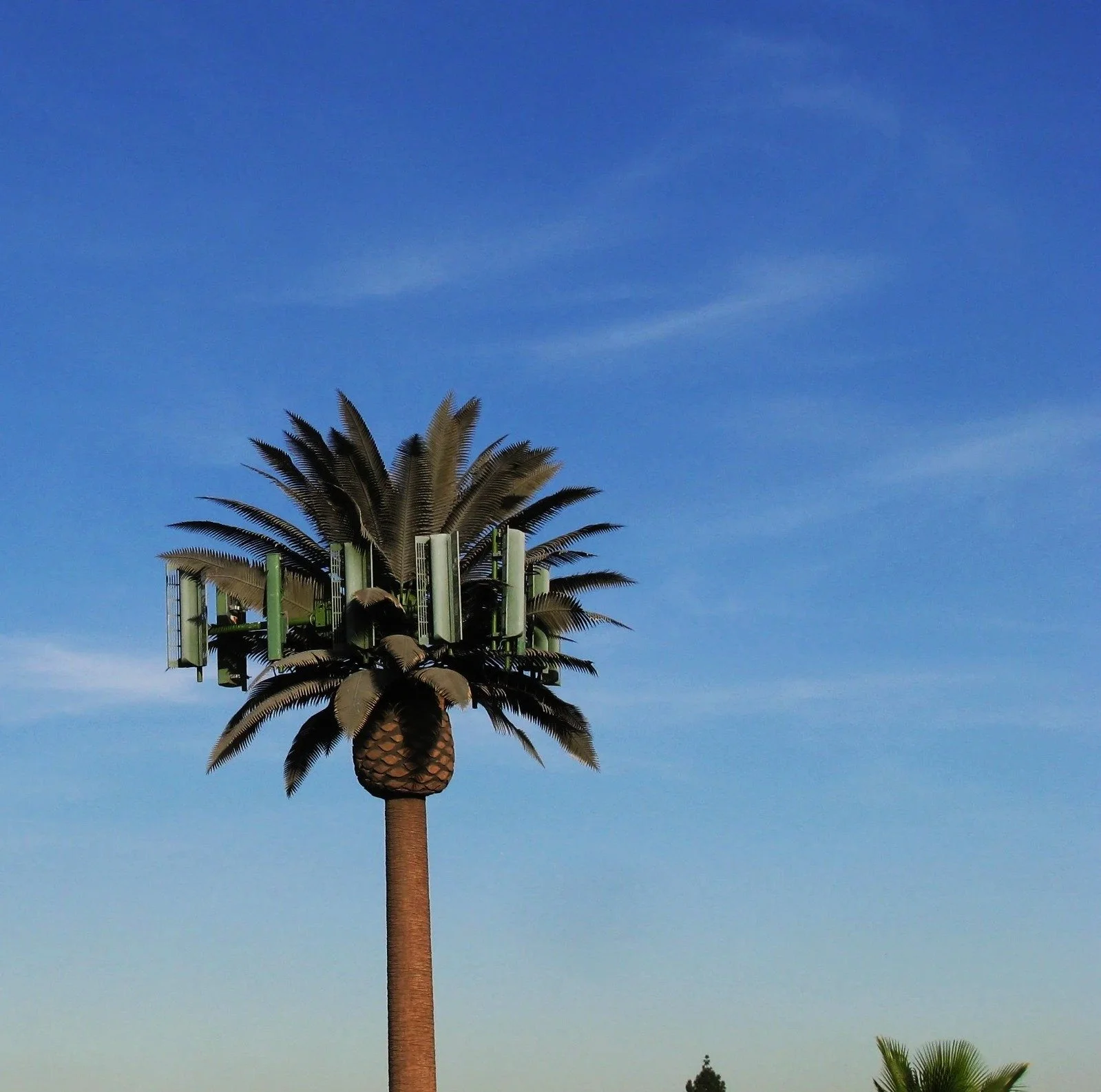 EPC Projects in the Telecom sector