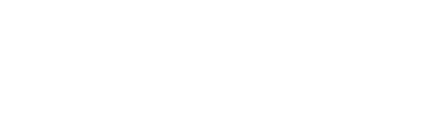 TRIBU PRODUCCIONES