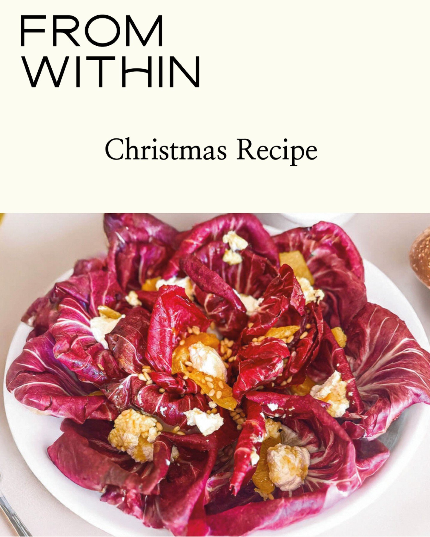 Festive, nutritious and delicious: Try this Radicchio, Orange and Burrata or Ricotta Salad with pinenuts and balsamic vinaigrette. Loaded with vitamins for glowing skin and energy. Perfect for your holiday entertainment.

*
*
*
*
*
#NourishFromWithin