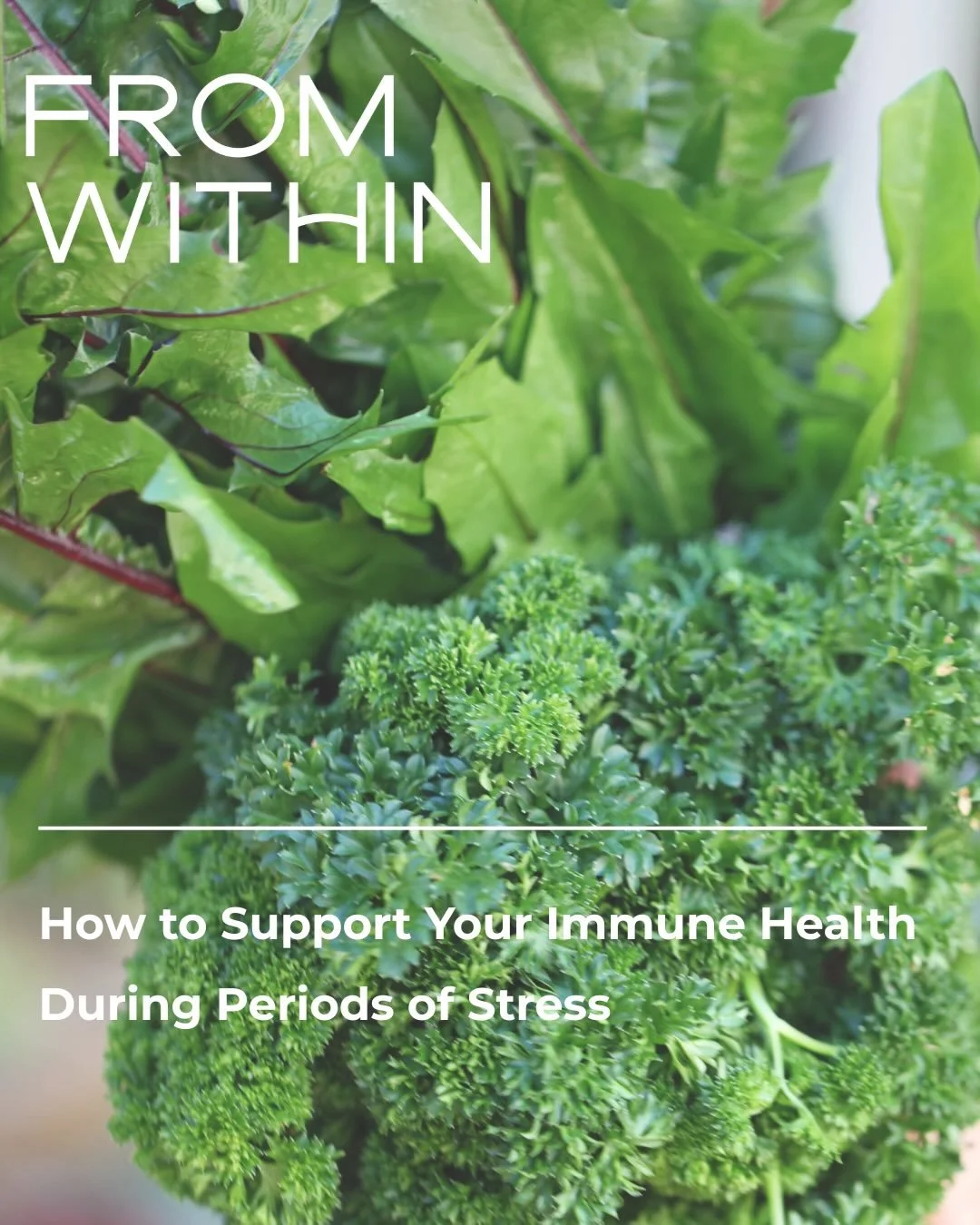 Chronic stress can suppress your immune system, making you more susceptible to illnesses. As we head into a change of season, it&rsquo;s important to support your immune health from within. Here&rsquo;s what you can do:

🥗Prioritise Nutrient-Rich Fo