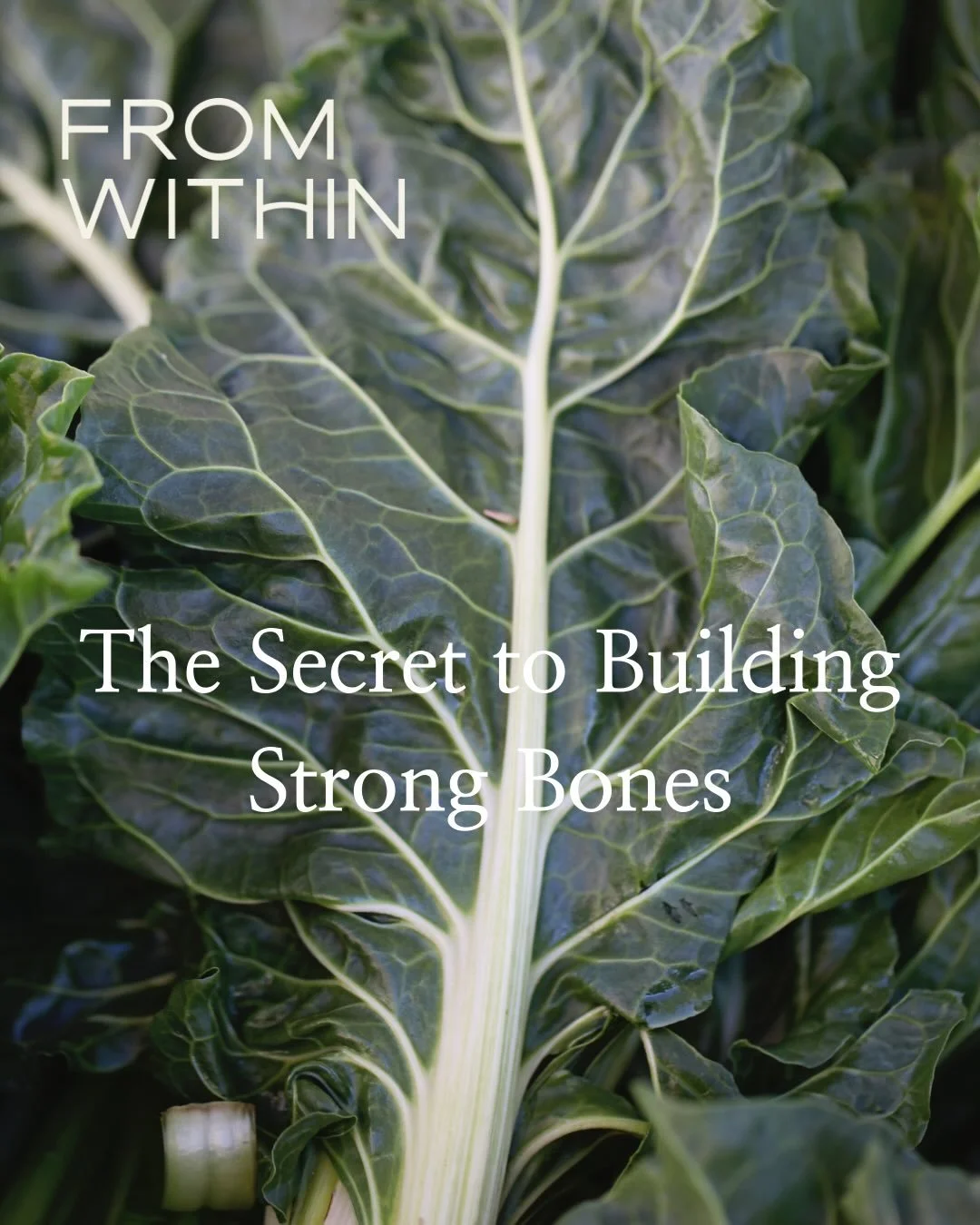 Your bones are living tissue, they&rsquo;re constantly renewing themselves. Strong bones mean better posture, mobility, energy &amp; independence at every age.

Your Daily Bone-Building All-Stars: 
🥬Dark leafy greens (kale, broccoli, bok choy, silve