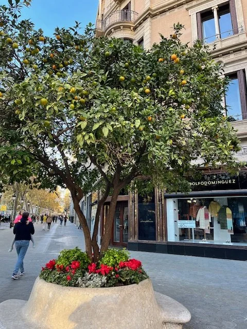 These are a few of my favorite things – Barcelona recommendations from a local