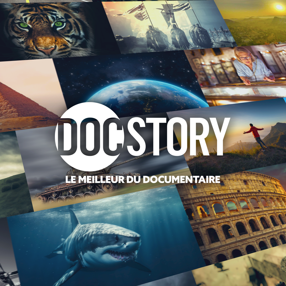 Collection de différentes images représentant la nature, la faune, la culture, des paysages urbains et naturels, un requin, la Terre vue de l'espace, et un ancien amphithéâtre romain, avec le texte "DOCTORY LE MEILLEUR DU DOCUMENTAIRE" en surimpressi