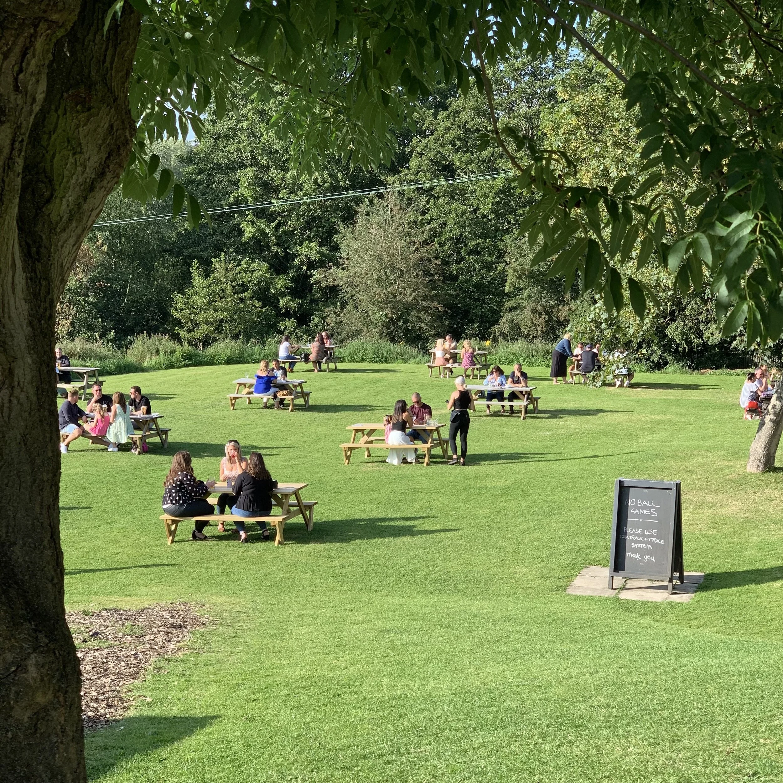 People sitting at picnic tables outdoors on a grassy lawn with trees in the background, some conversing and others eating.