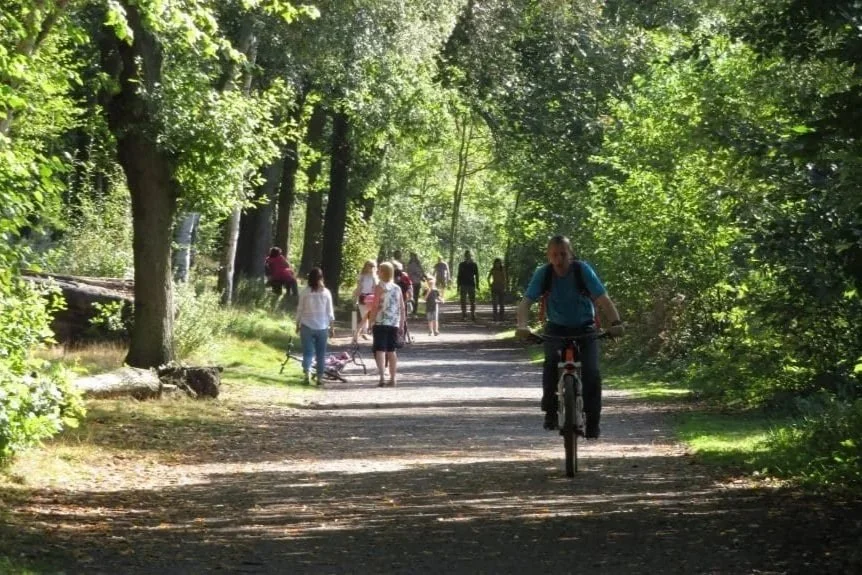 Newmillerdam+Path.jpg