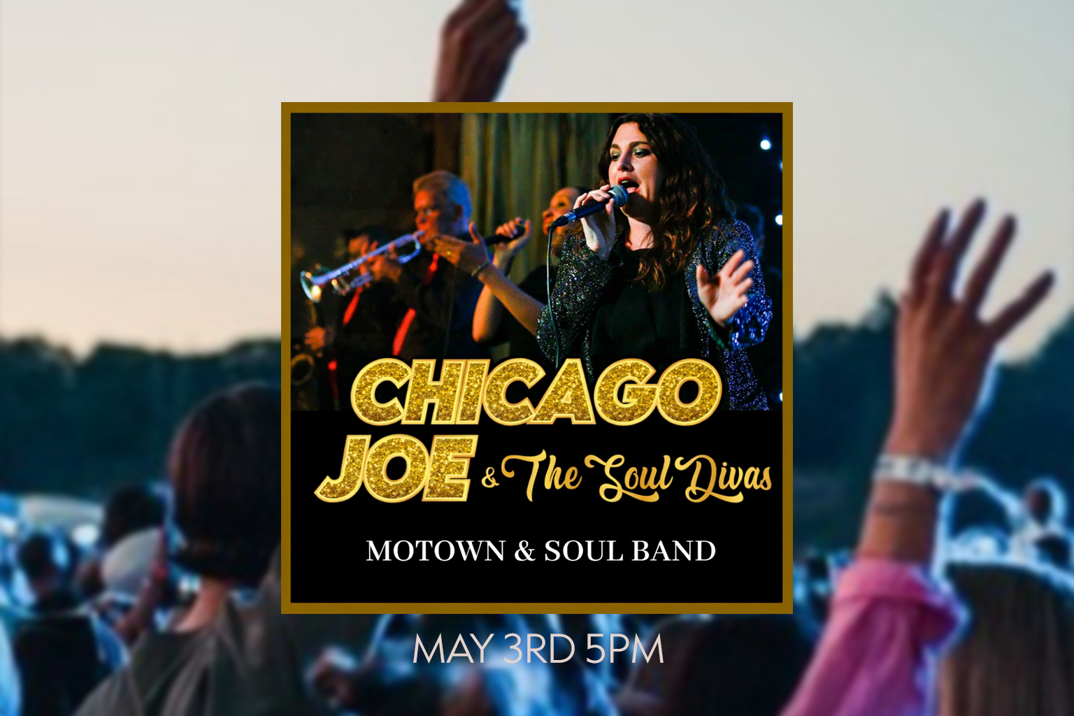 CHICAGO JO Website banner.png
