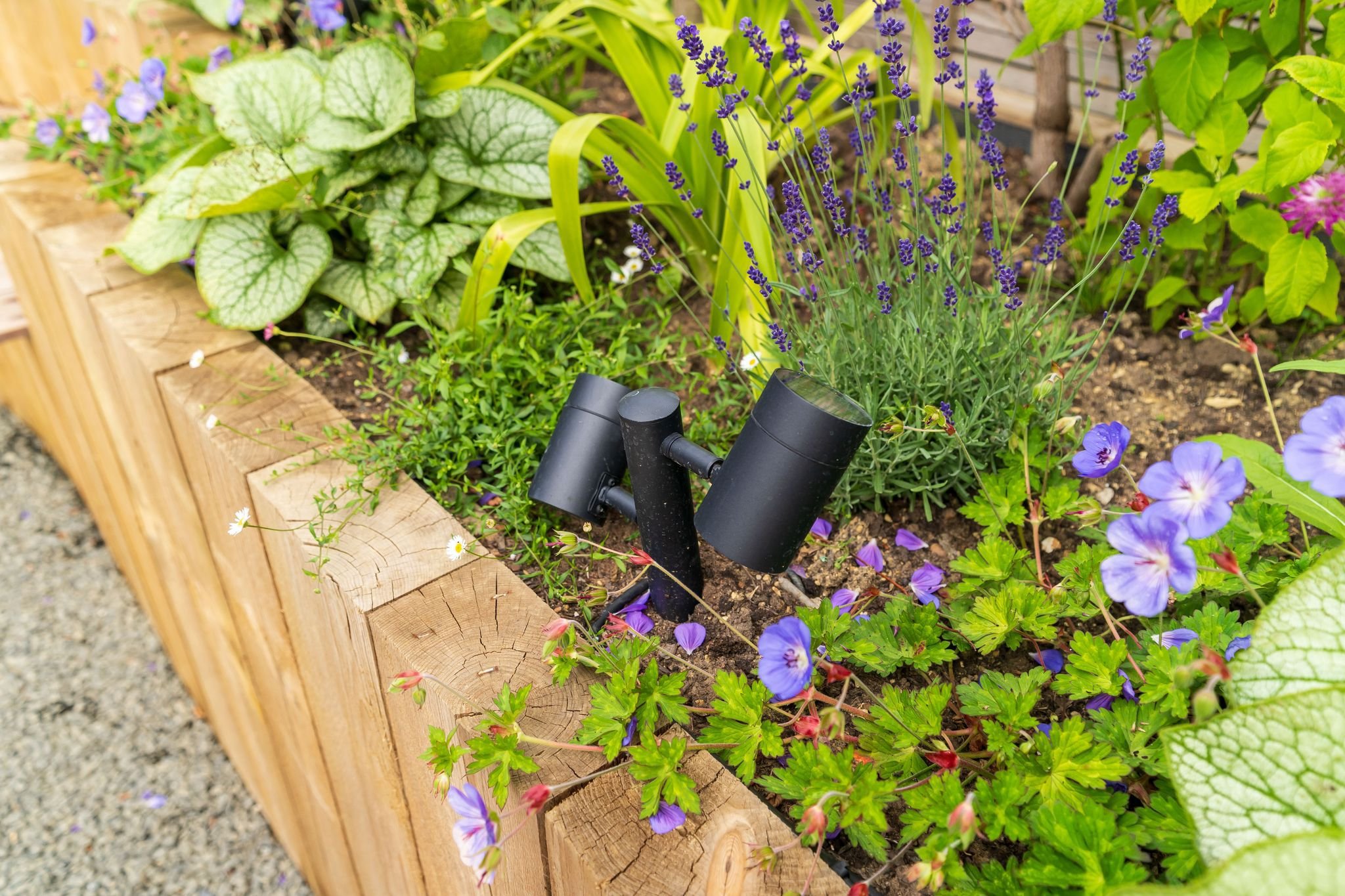 WhatsApp Image 2026-04-01 at 18.41.41.jpeg