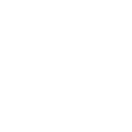 conversation icon
