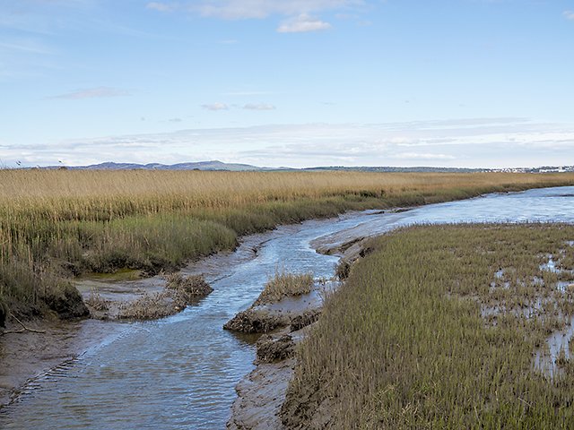 Powgavie Burn at the Tay mudflats