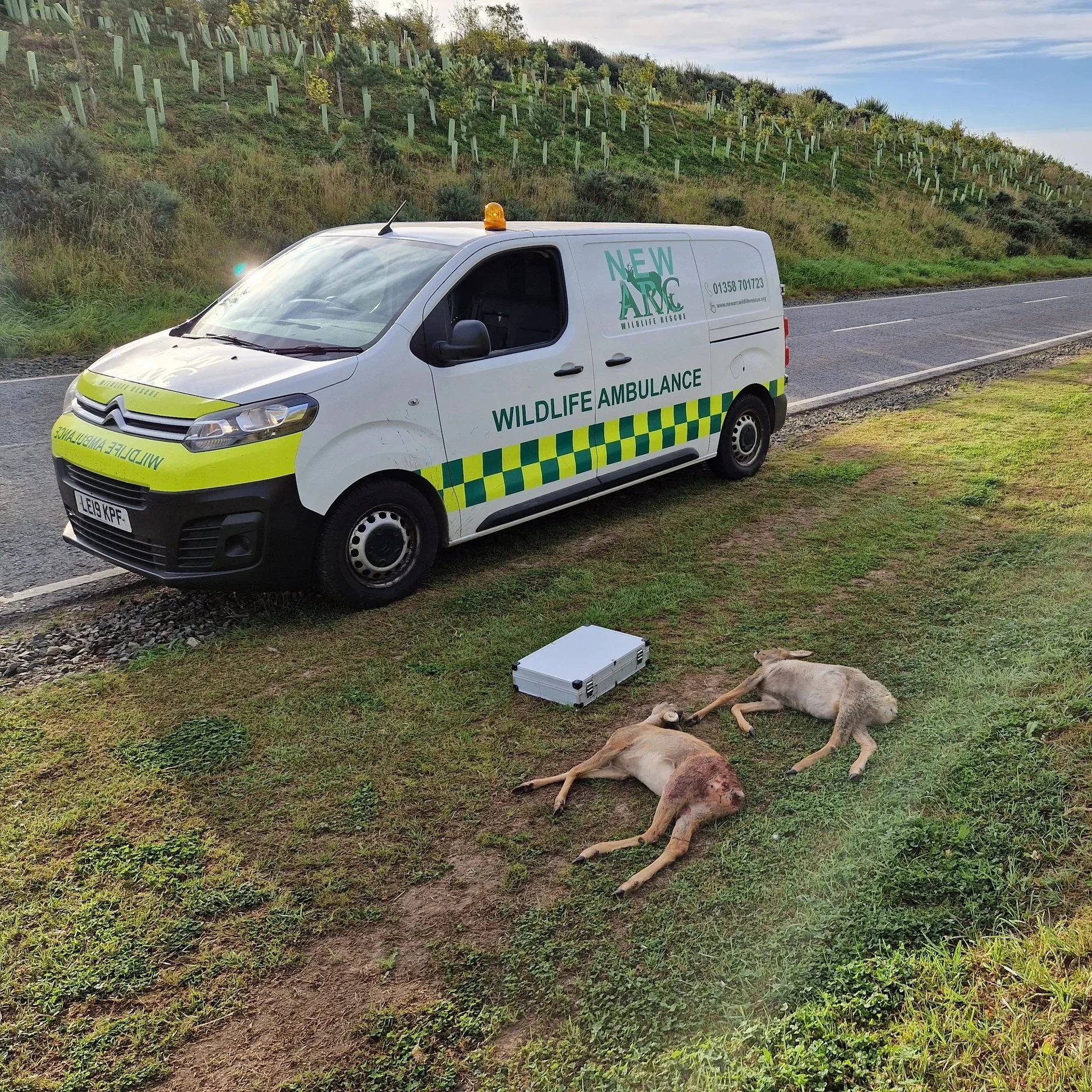 Scottish Deer Vehicle Collision analysis