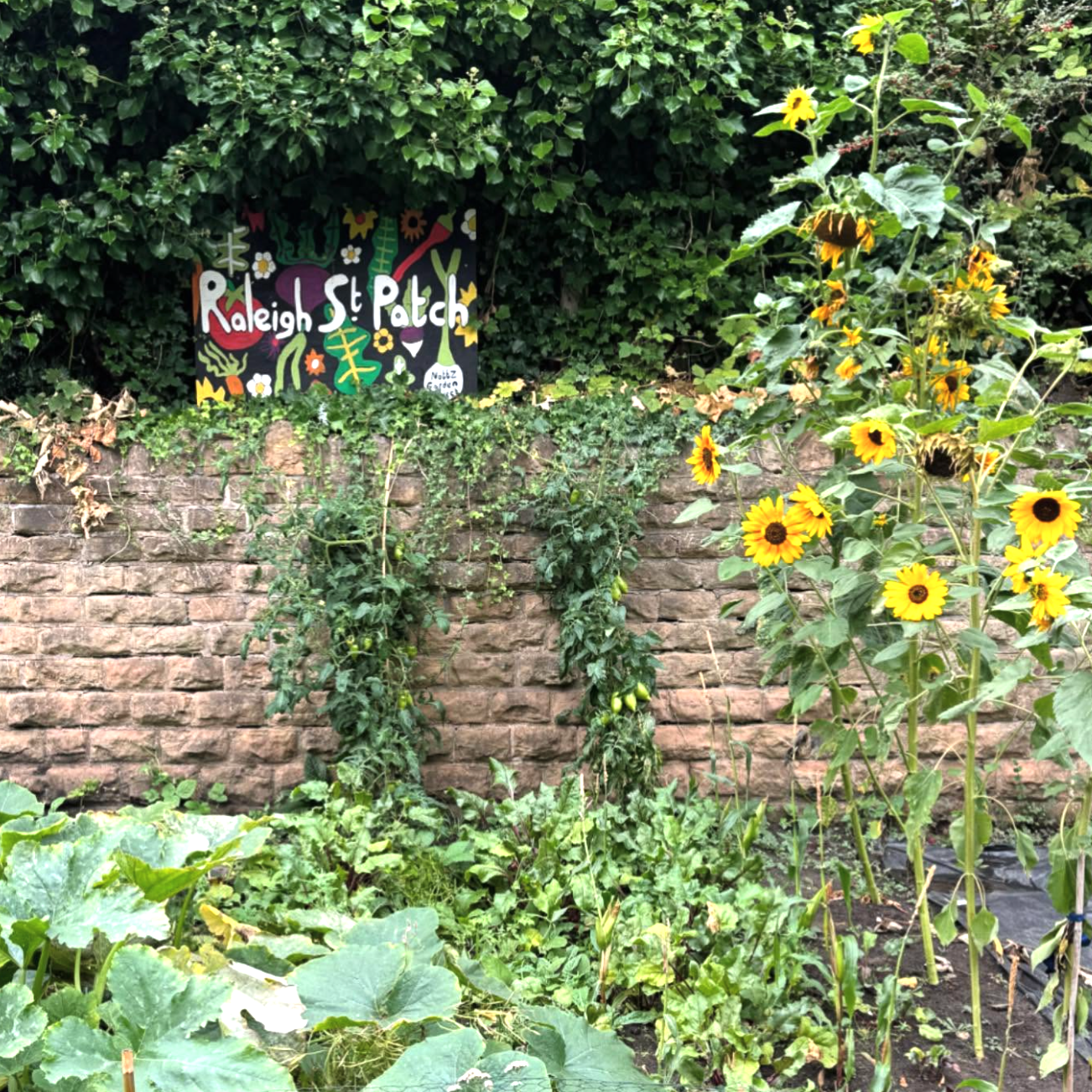 Veg beds in front of a sandstone wall with a sign reading Raleigh St Patch.