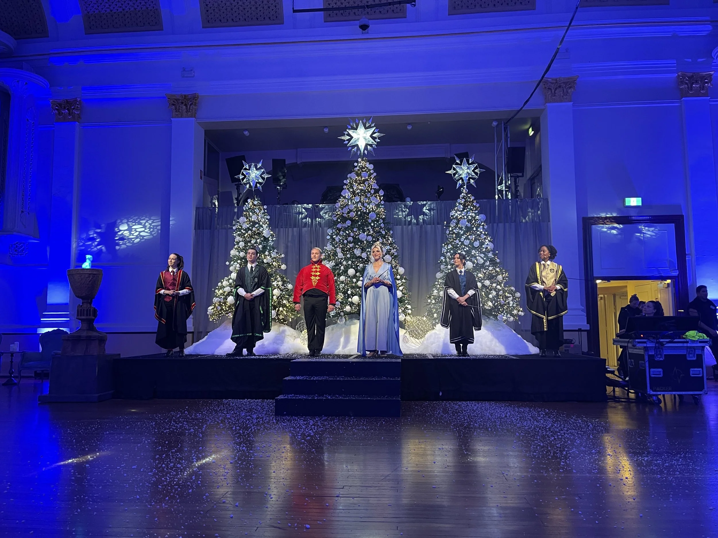 Harry Potter: A Yule Ball Celebration