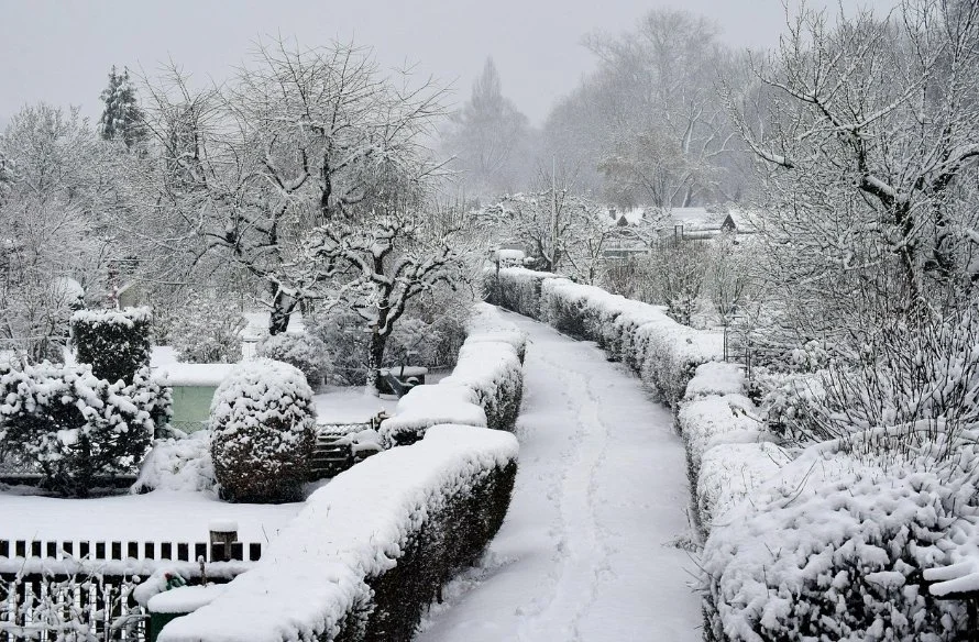 Aktuelle Infos vom Vorstand