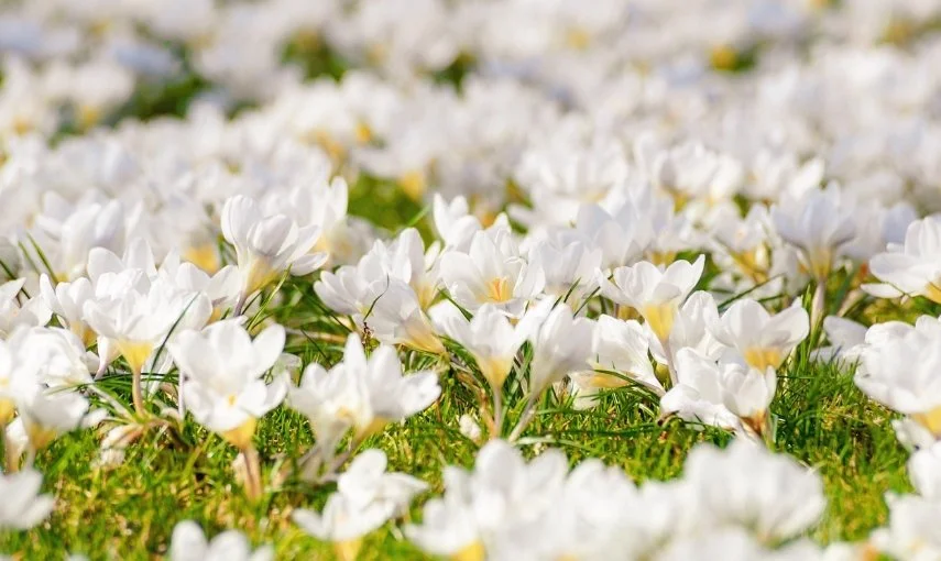 Aktuelle Infos vom Vorstand 