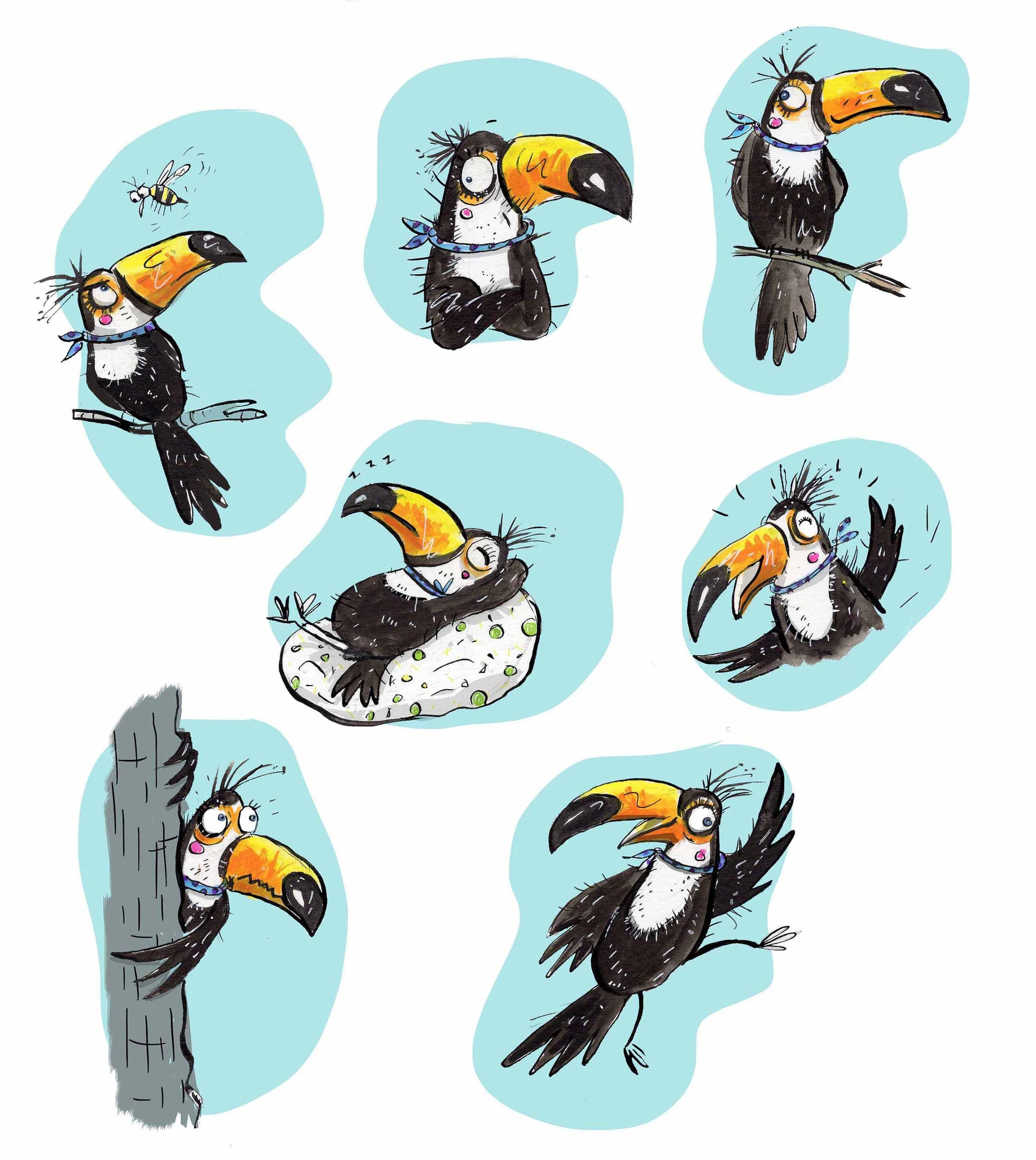 toucan characters illustrated 