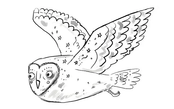 Barn_Owl.jpg