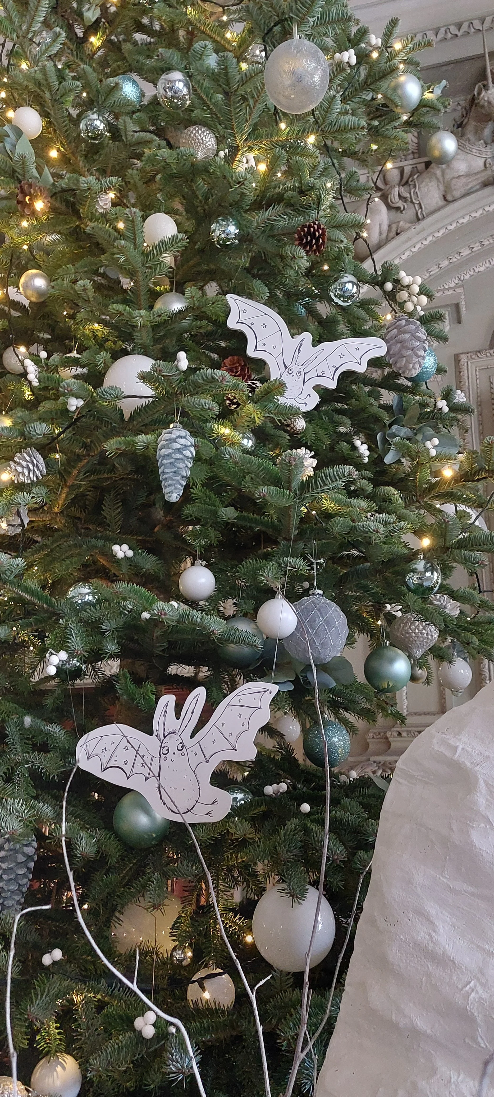 20260103_144100.jpg