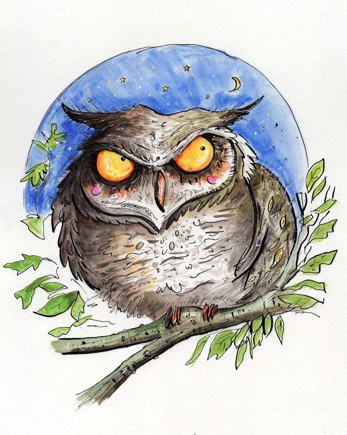 Owl illustration