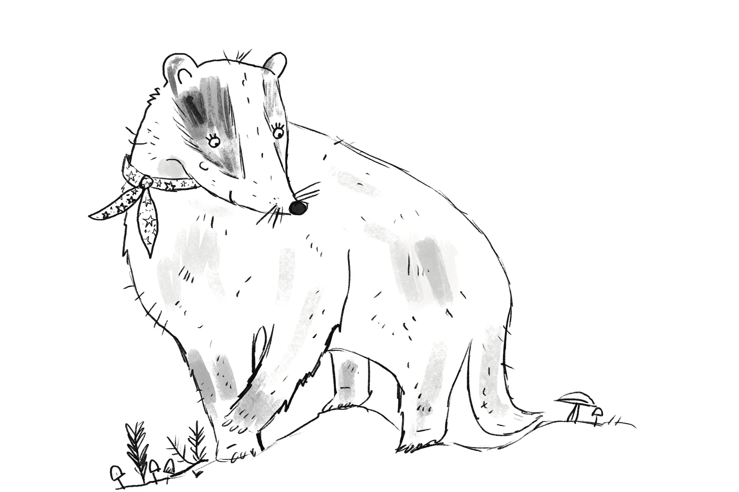 Badger.jpg