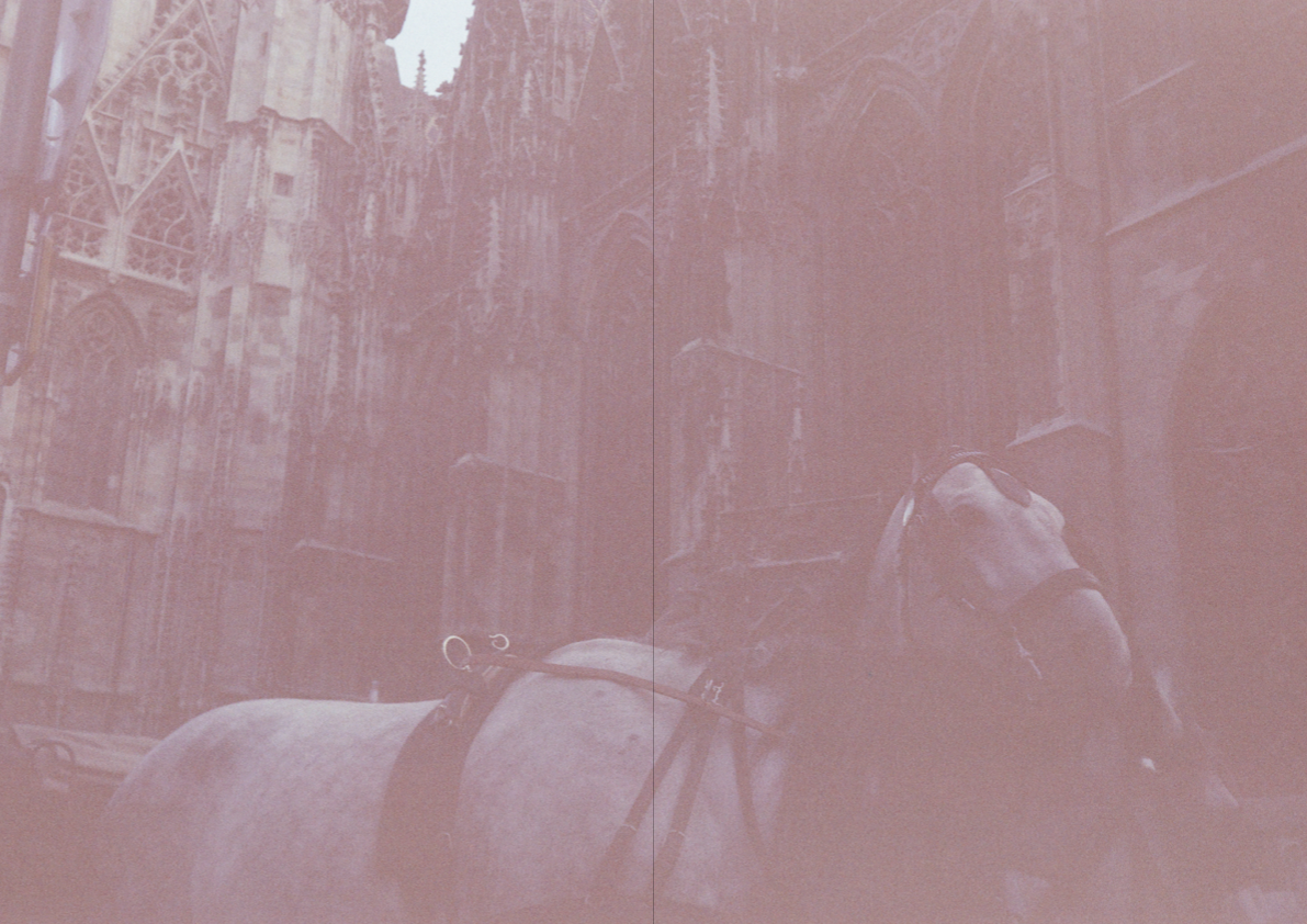 Presiento que algo terrible va a suceder PHOTOBOOK_©MicaelLope2025.040.png