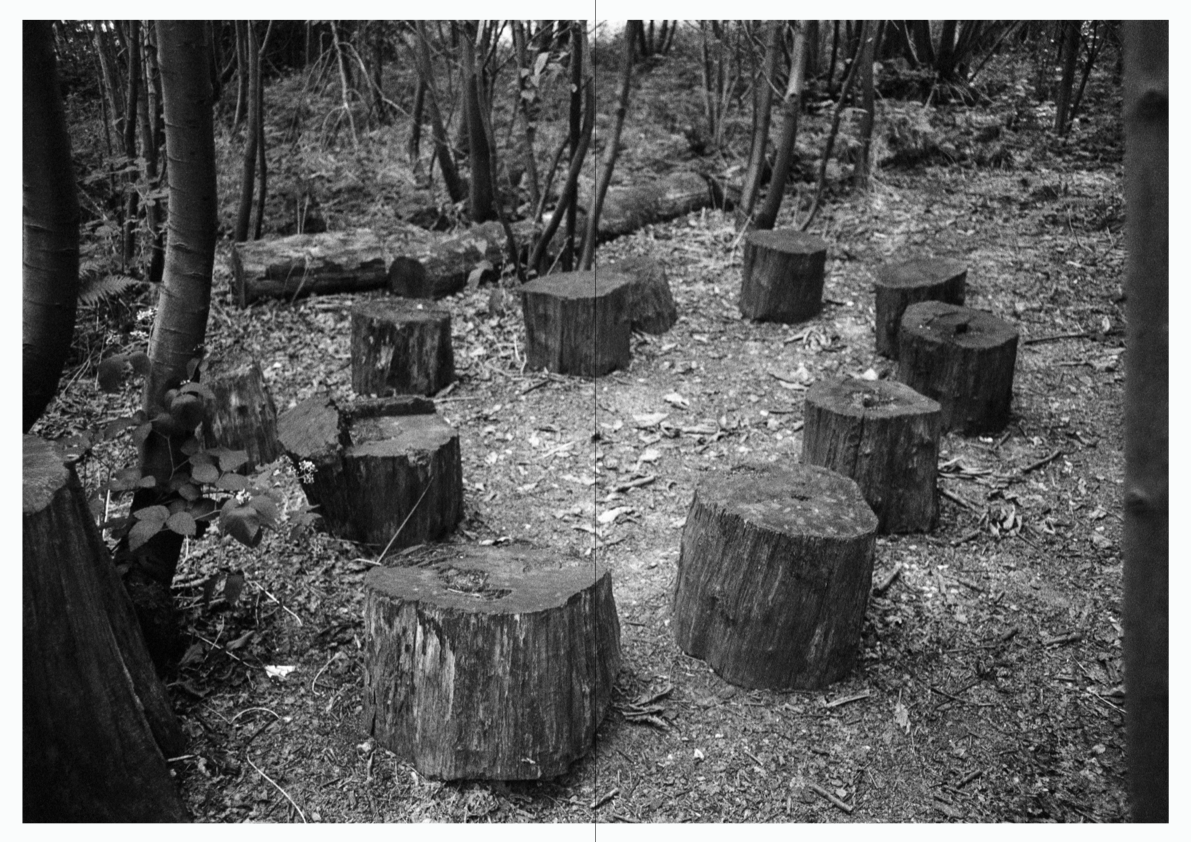 WOODWALK PHOTOBOOK_©MicaelLope-25.png