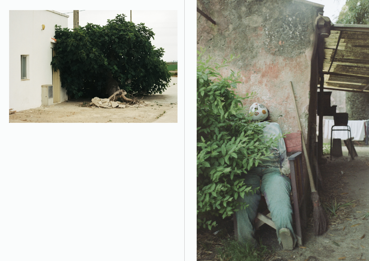 Presiento que algo terrible va a suceder PHOTOBOOK_©MicaelLope2025.019.png