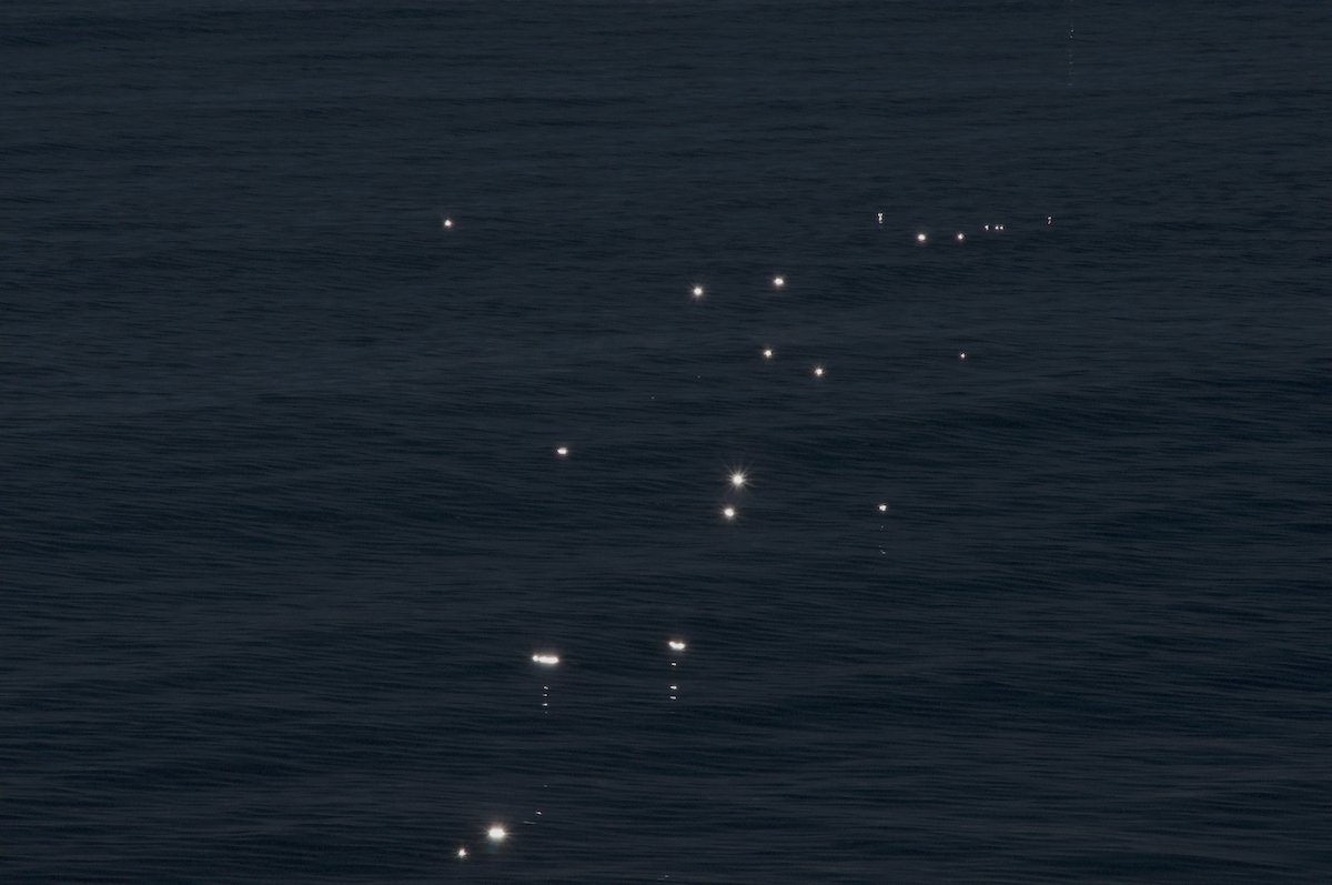 Confía en lo que ves-9_©MicaelLope_2026 WEB.jpg