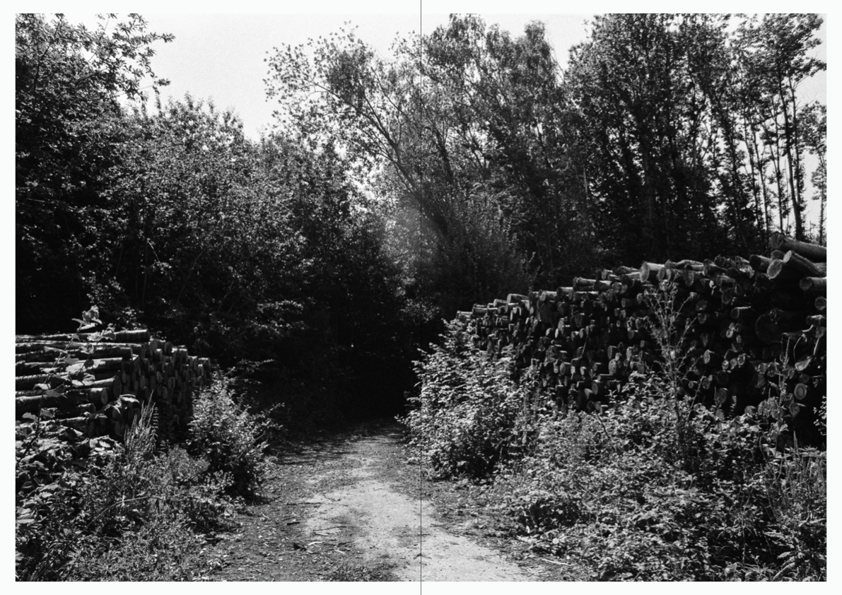 WOODWALK PHOTOBOOK_©MicaelLope-2.png