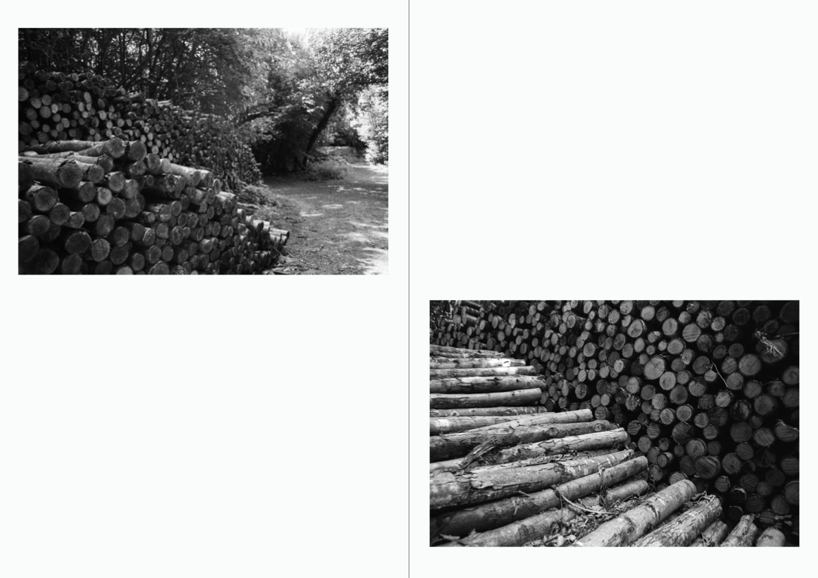 WOODWALK PHOTOBOOK_©MicaelLope-9.png