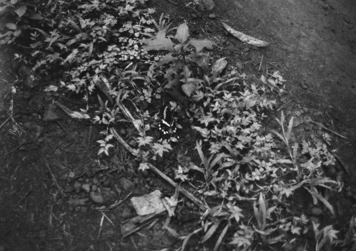 Presiento que algo terrible va a suceder PHOTOBOOK_©MicaelLope2025.009.png