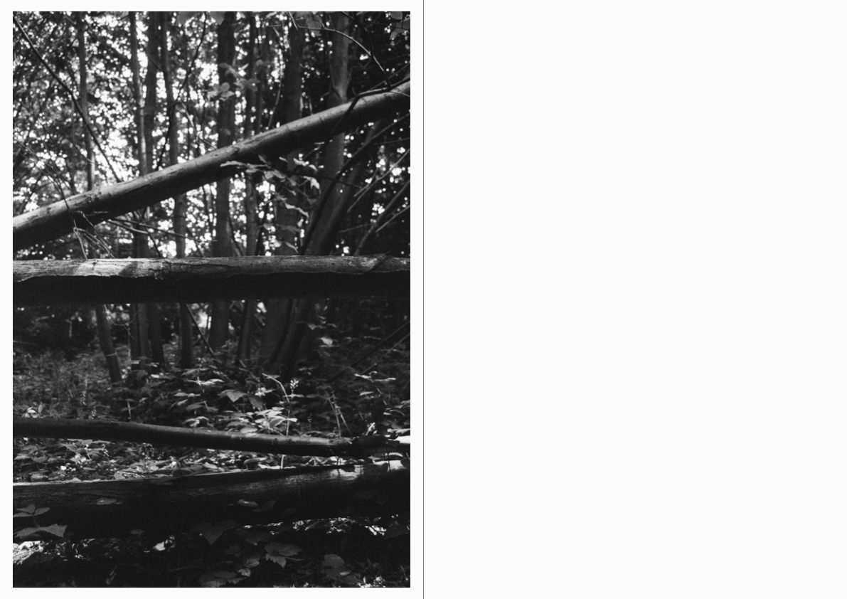 WOODWALK PHOTOBOOK_©MicaelLope-21.png