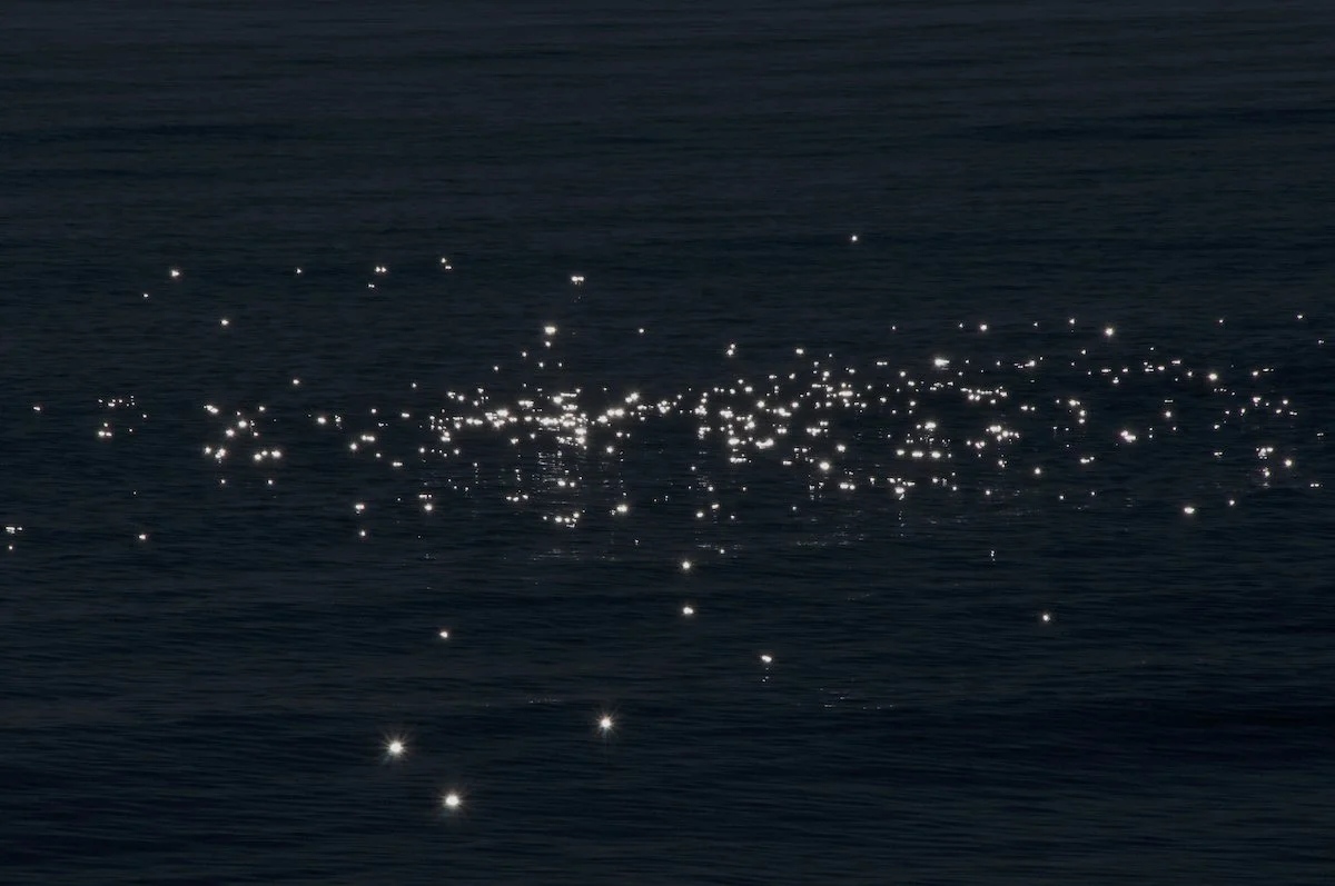 Confía en lo que ves-7_©MicaelLope_2026.jpg