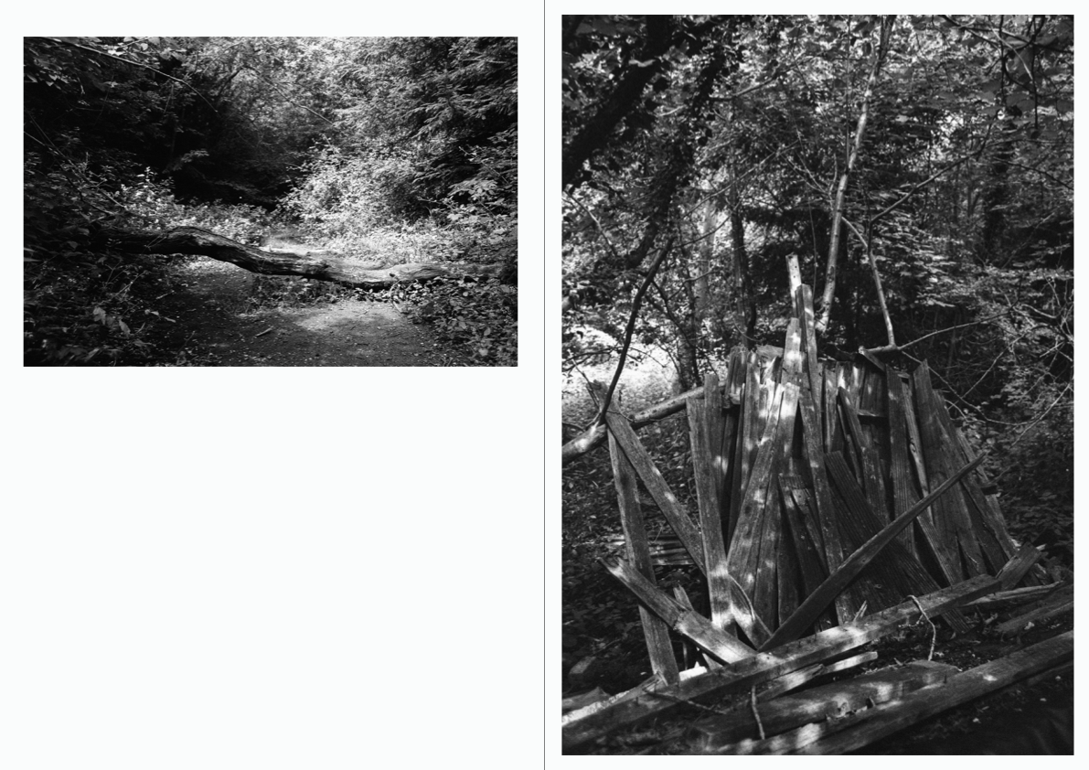WOODWALK PHOTOBOOK_©MicaelLope-14.png